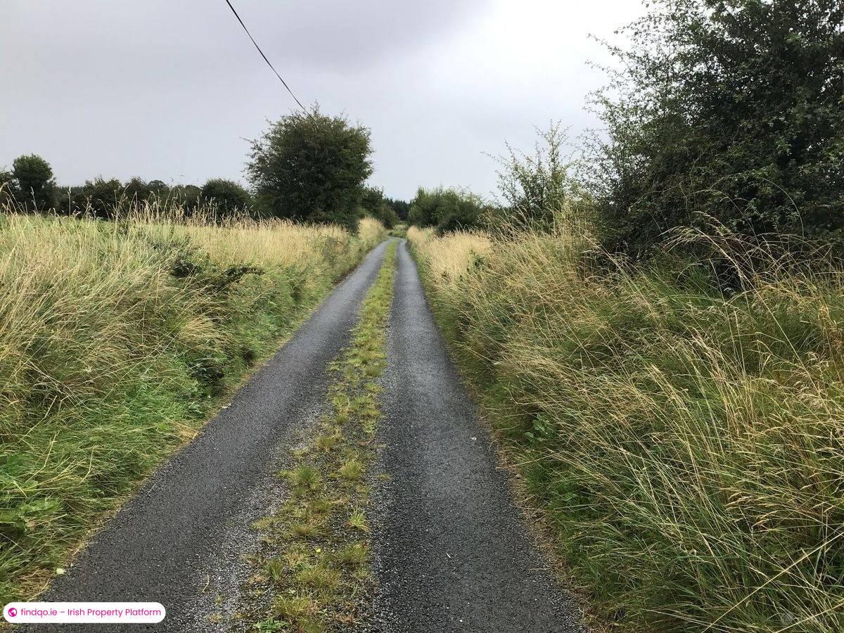 Agricultural Land for Sale in Ballyhaunis, Mayo