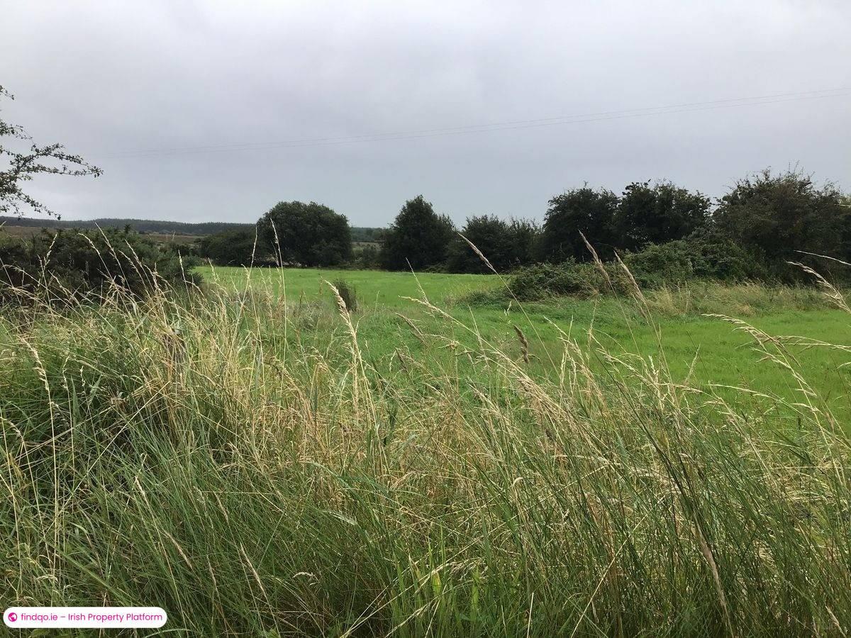 Agricultural Land for Sale in Ballyhaunis, Mayo