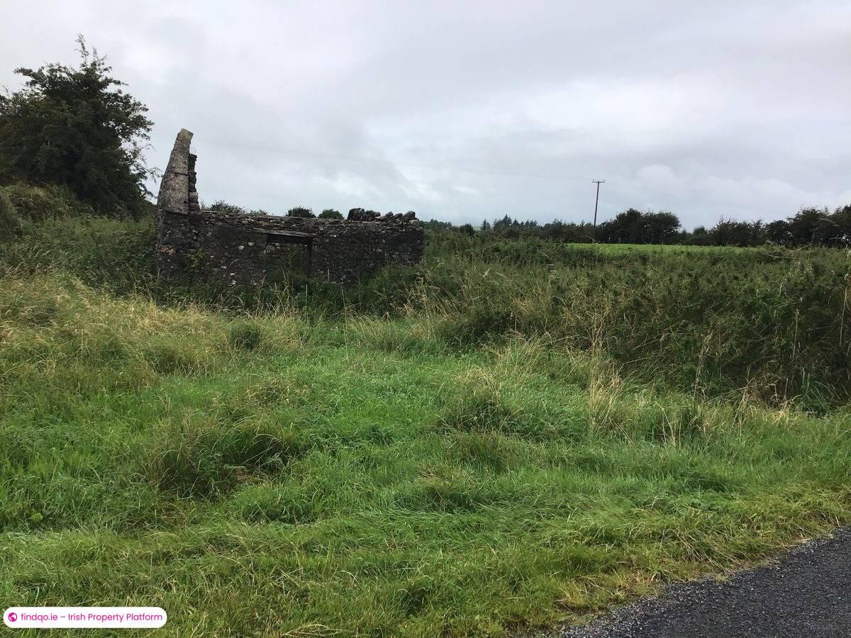 Agricultural Land for Sale in Ballyhaunis, Mayo