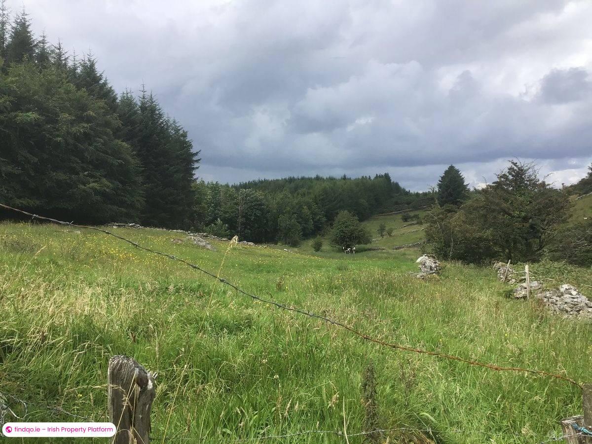 Agricultural Land for Sale in Kilkelly, Mayo