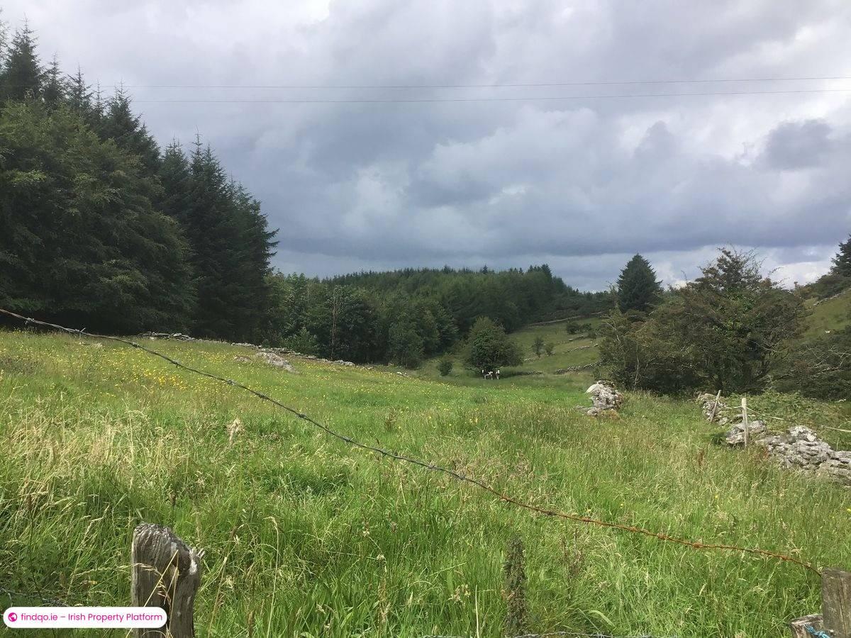 Agricultural Land for Sale in Kilkelly, Mayo