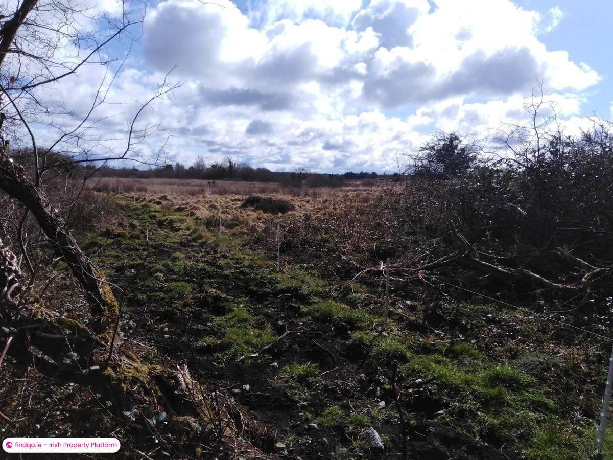 Agricultural Land for Sale in Kilkelly, Mayo