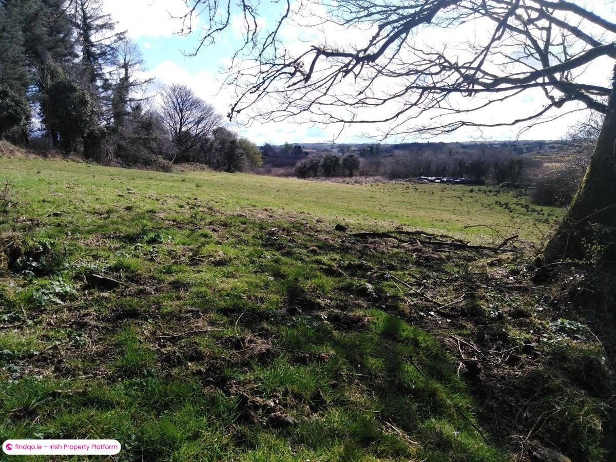 Agricultural Land for Sale in Kilkelly, Mayo
