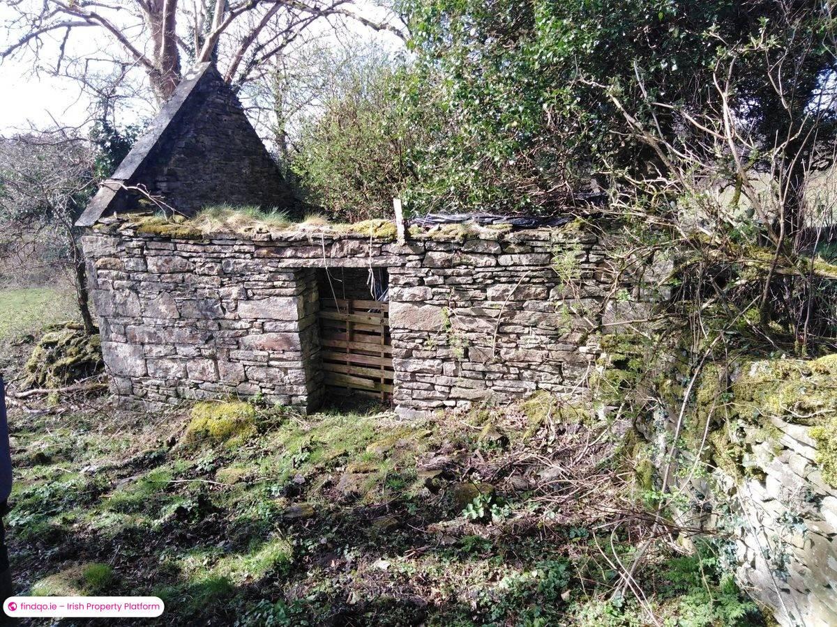 Agricultural Land for Sale in Kilkelly, Mayo