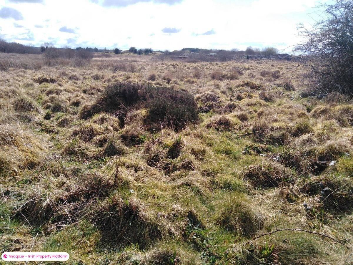 Agricultural Land for Sale in Kilkelly, Mayo