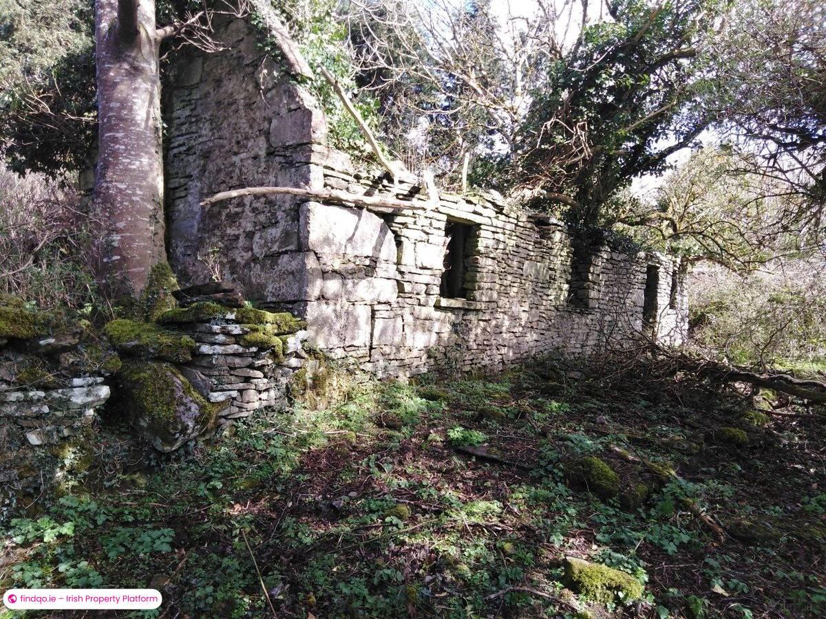 Agricultural Land for Sale in Kilkelly, Mayo