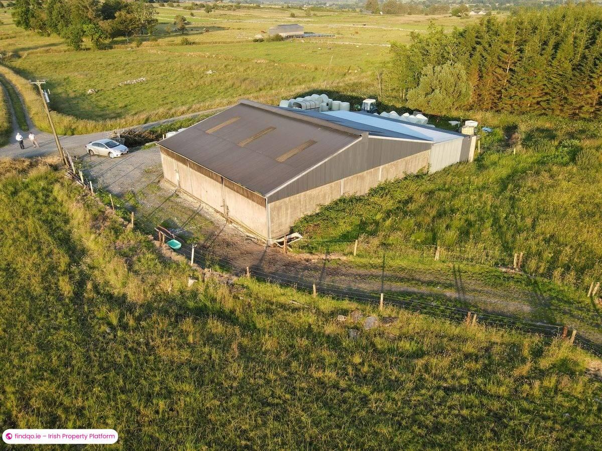 Agricultural Land for Sale in Castlerea, Roscommon