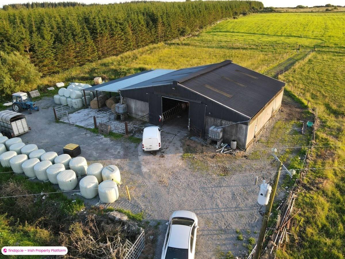 Agricultural Land for Sale in Castlerea, Roscommon