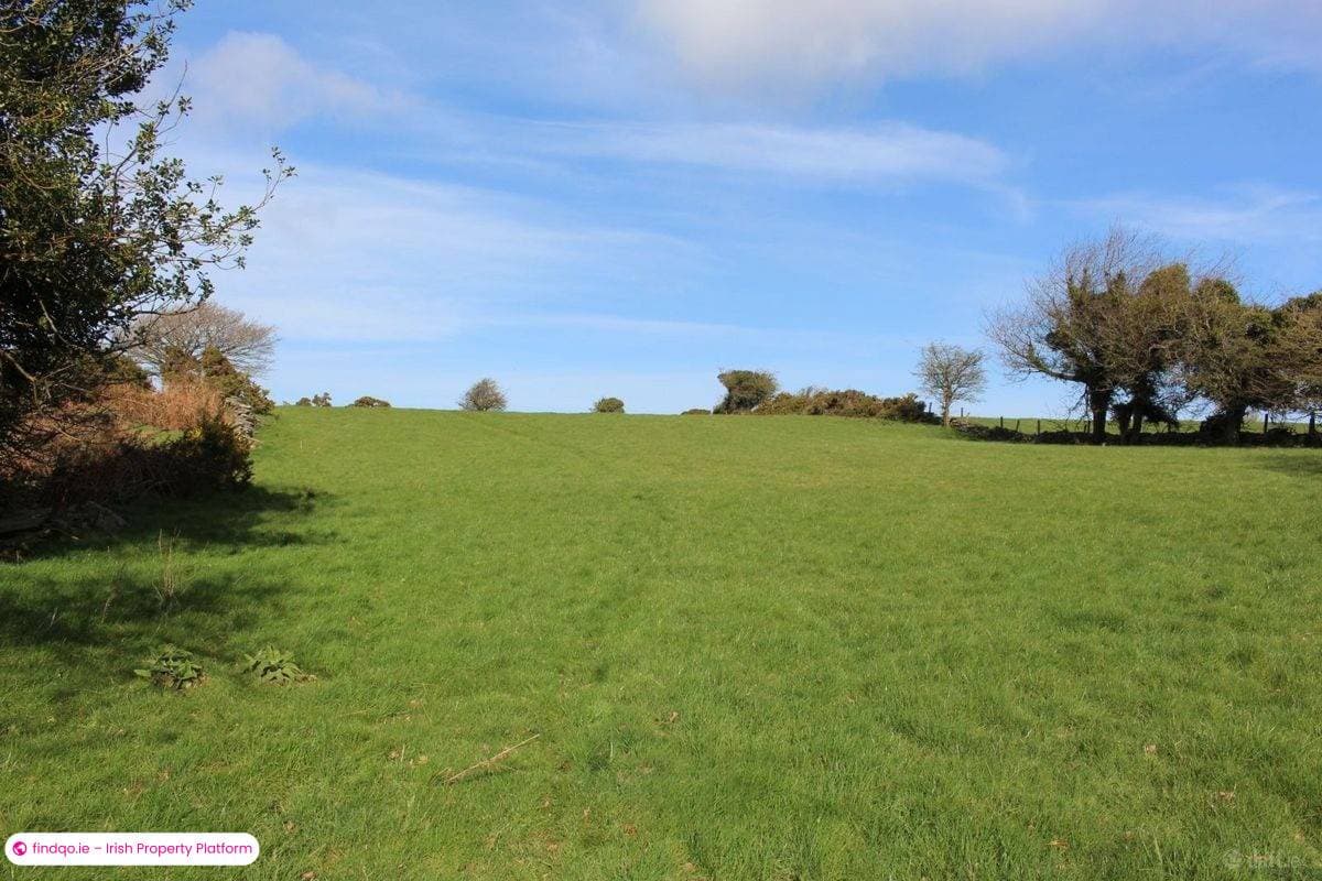Agricultural Land for Sale in Tinahely, Wicklow