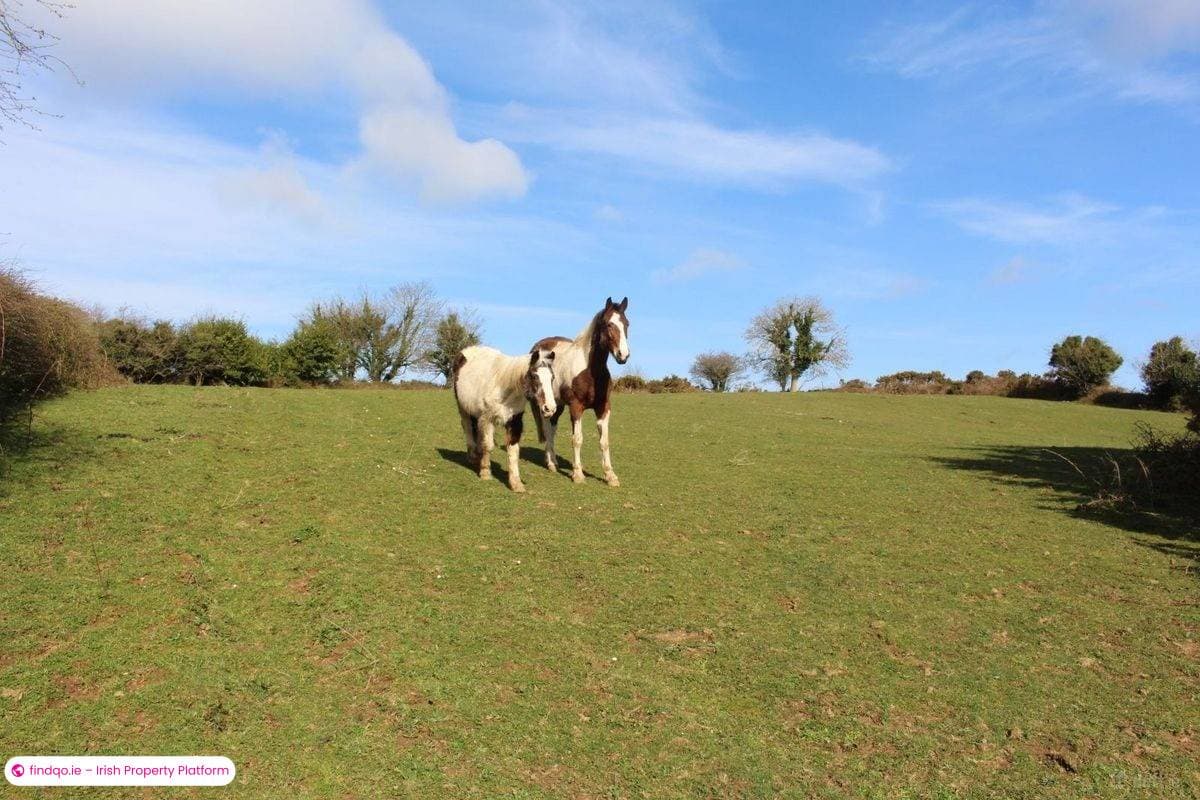 Agricultural Land for Sale in Tinahely, Wicklow