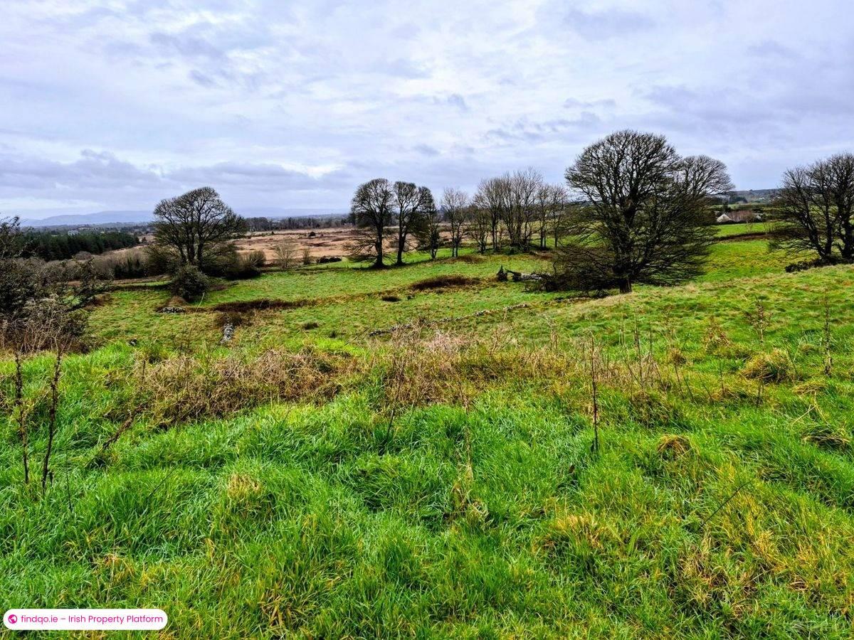 Bungalow for Sale in Charlestown, Mayo