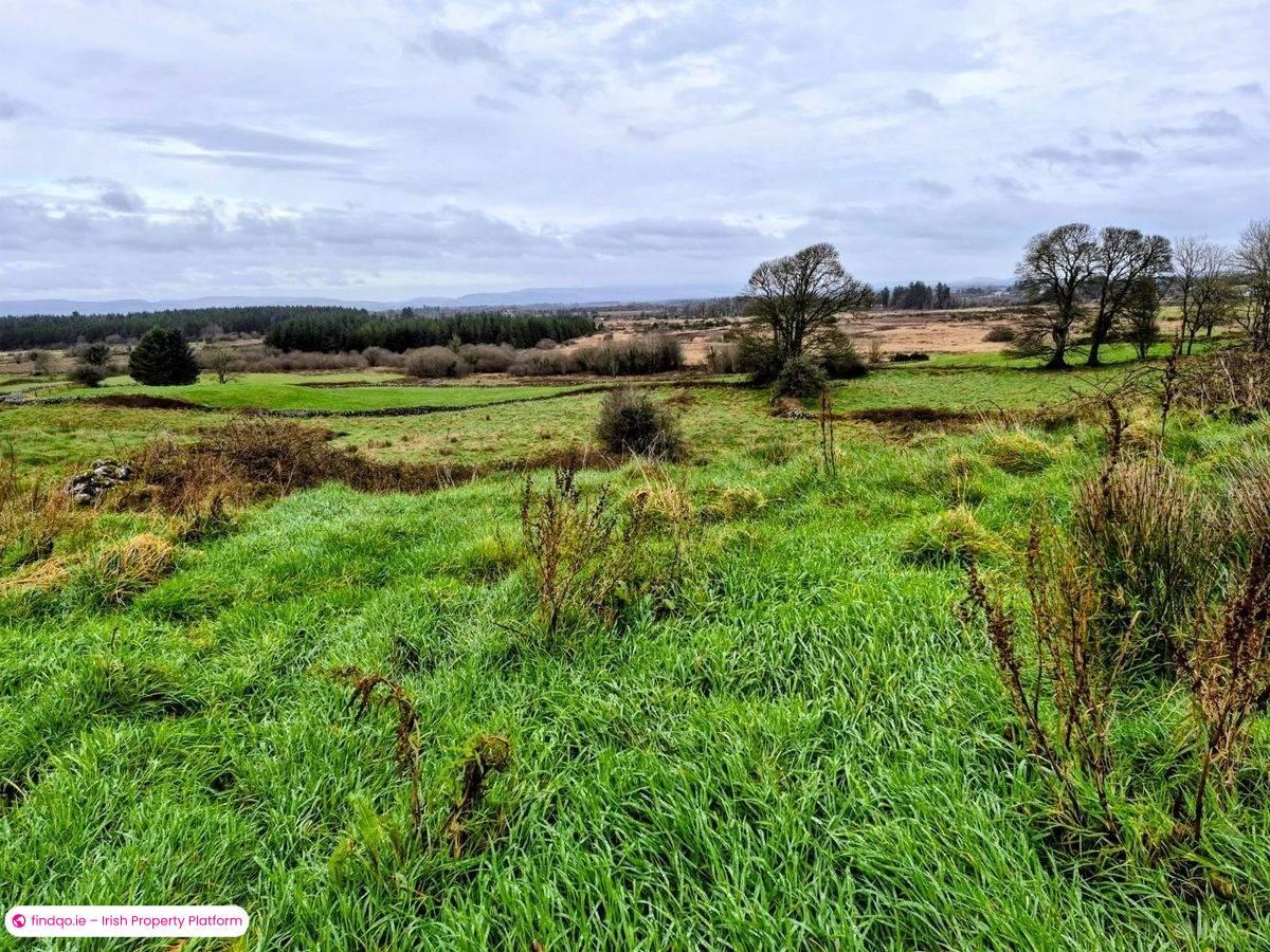 Bungalow for Sale in Charlestown, Mayo