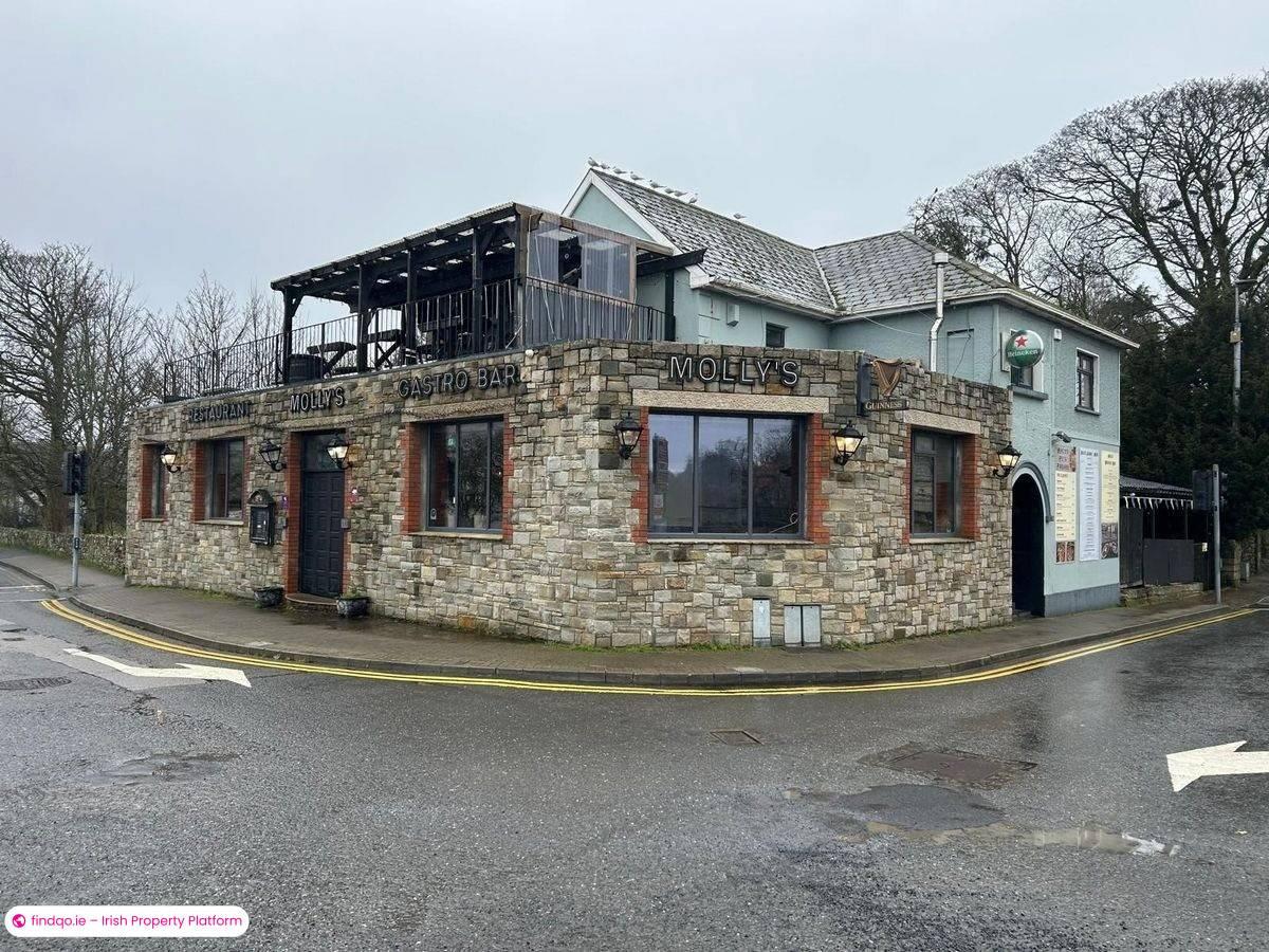 Restaurant / Bar / Hotel for Sale in Ballina, Tipperary