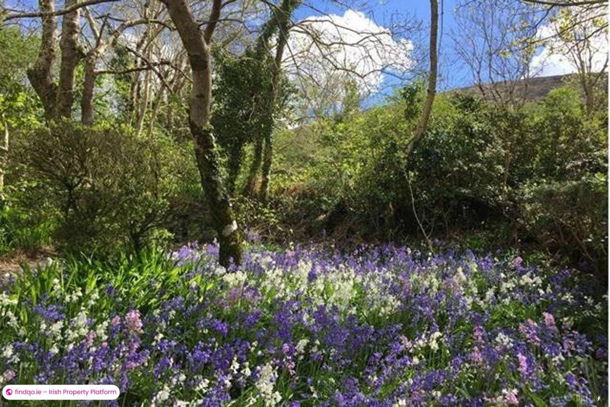 3 Bedroom Holiday Home for Rent in Durrus, Cork