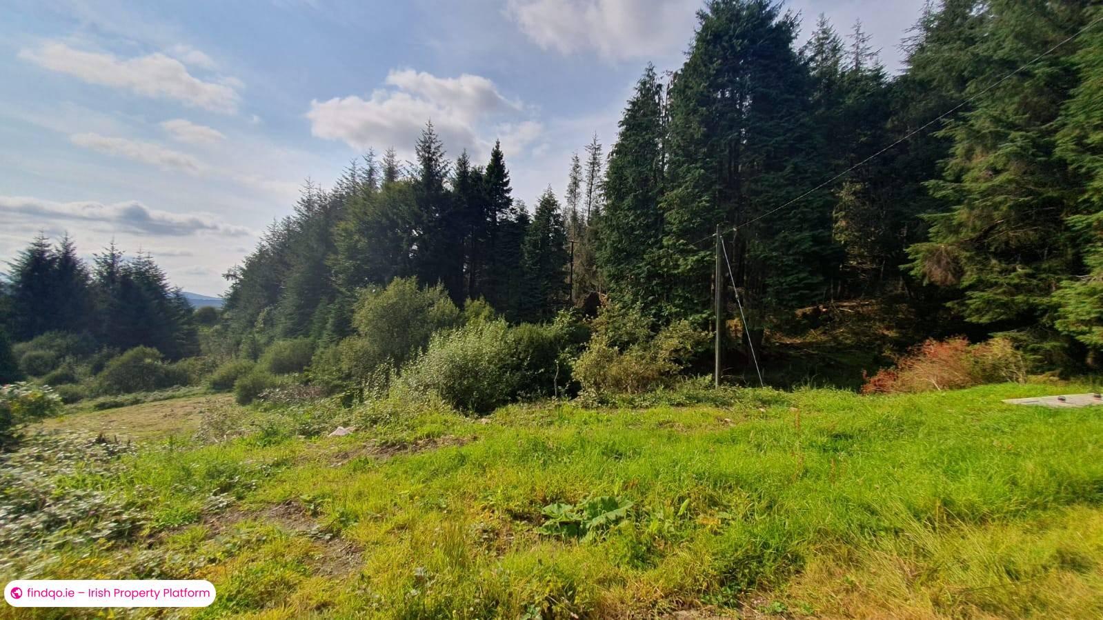 Detached house for Sale in Boyle, Roscommon