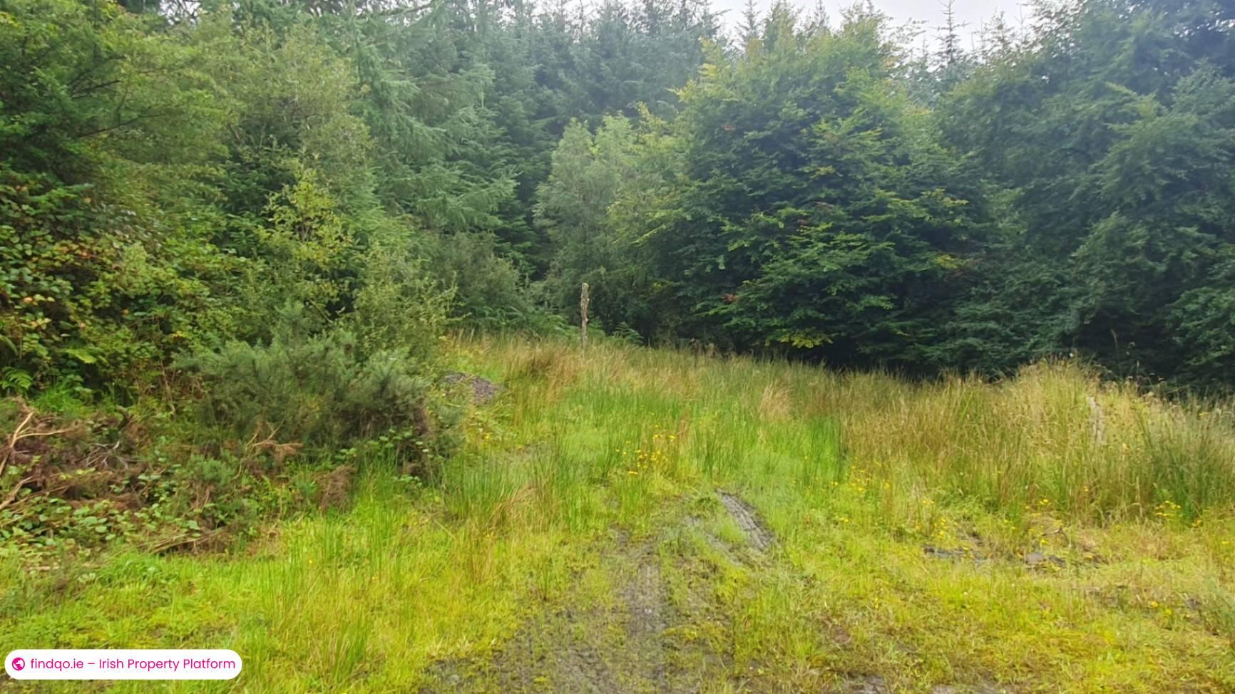 Detached house for Sale in Boyle, Roscommon