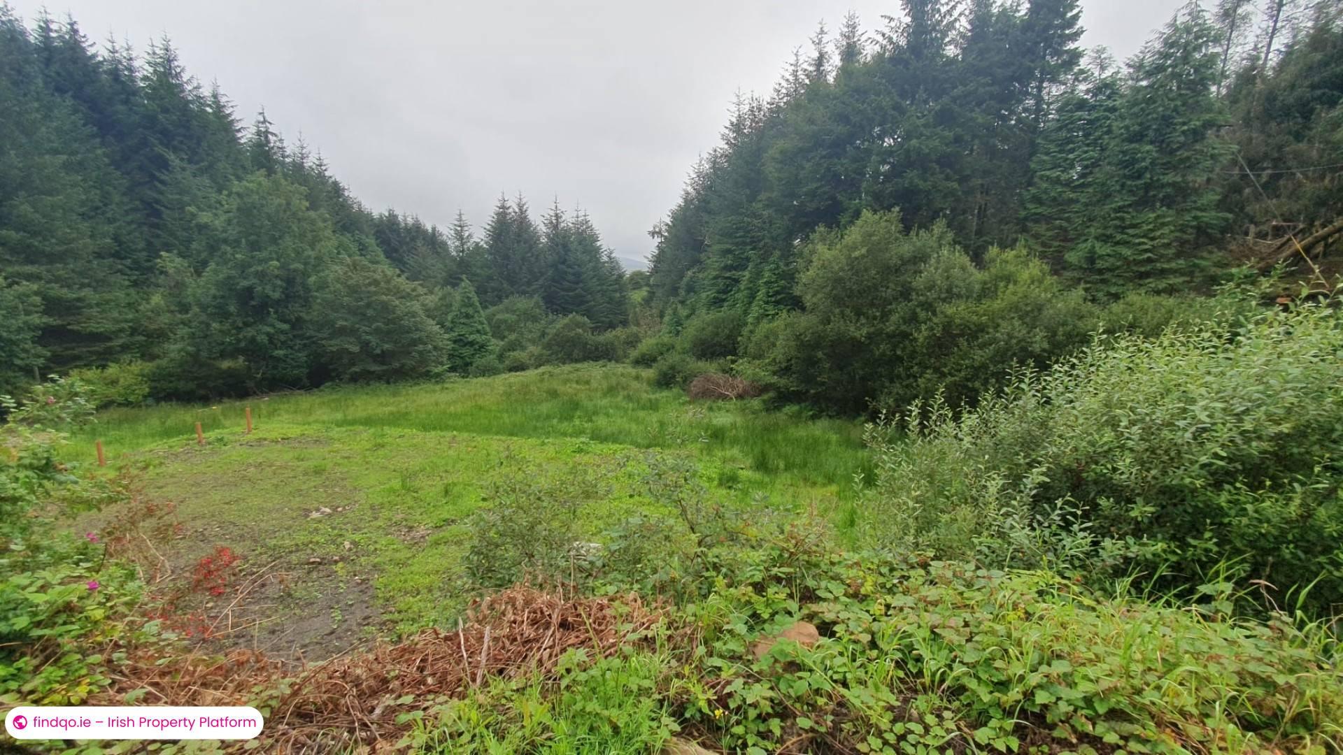 Detached house for Sale in Boyle, Roscommon