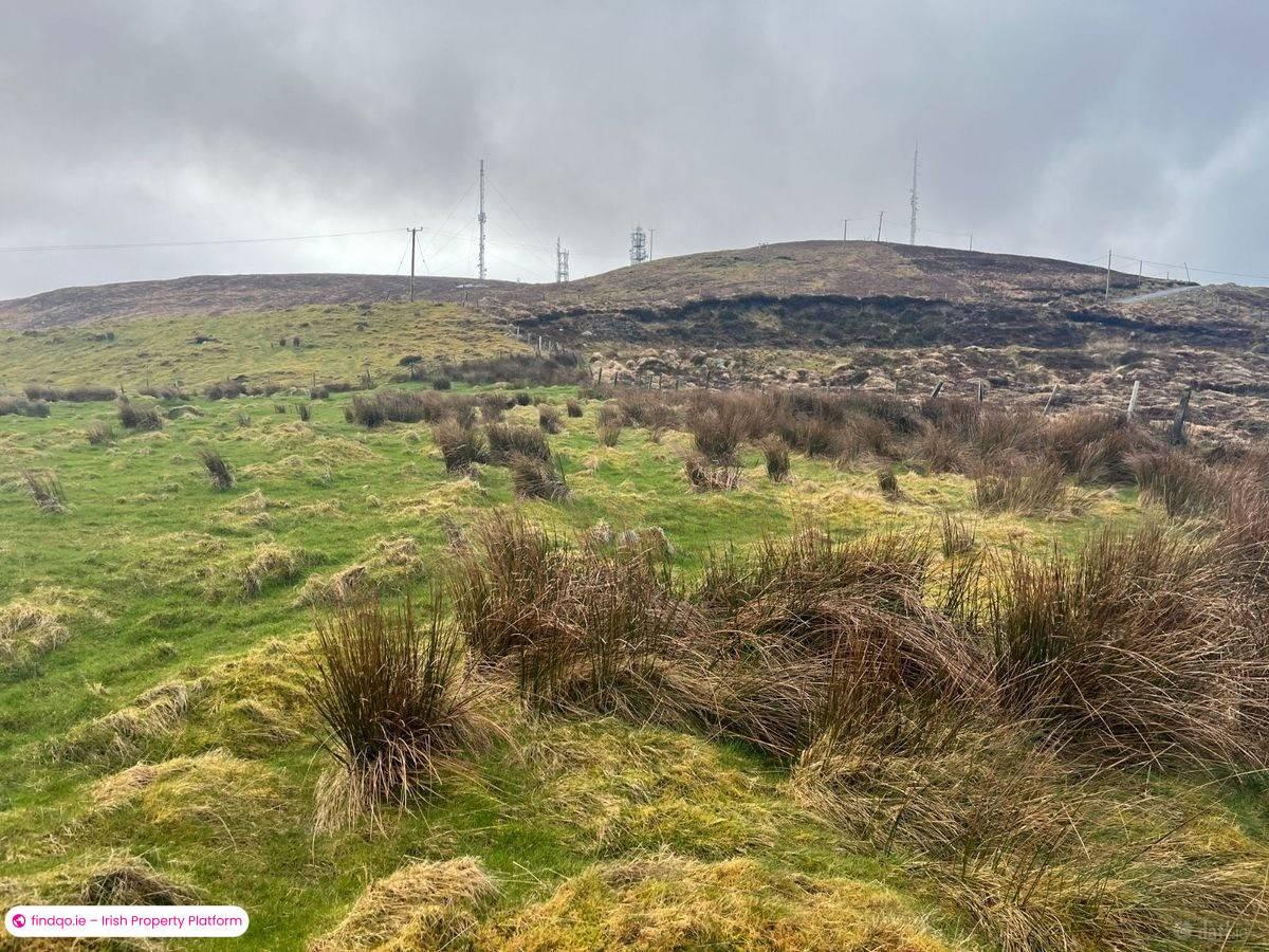 Agricultural Land for Sale in Castlemaine, Kerry