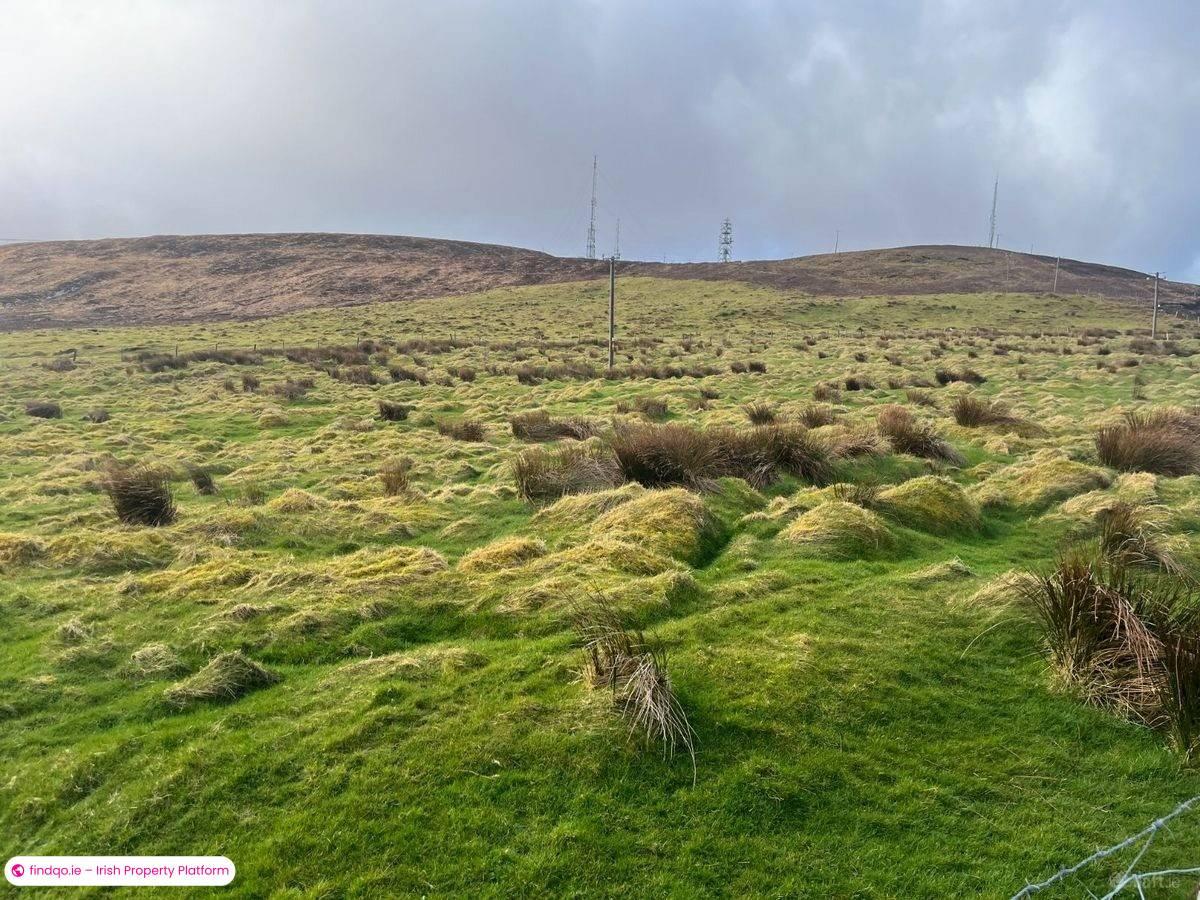 Agricultural Land for Sale in Castlemaine, Kerry