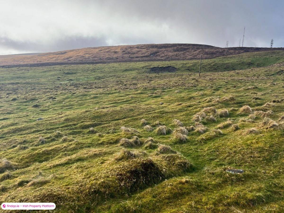 Agricultural Land for Sale in Castlemaine, Kerry