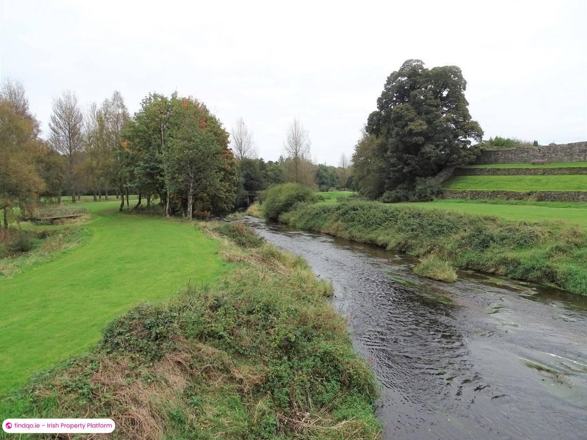 Commercial Site for Sale in Castletown, Laois