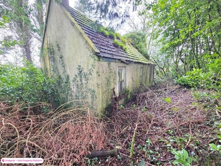 Agricultural Land for Sale in Kilbehenny, Limerick