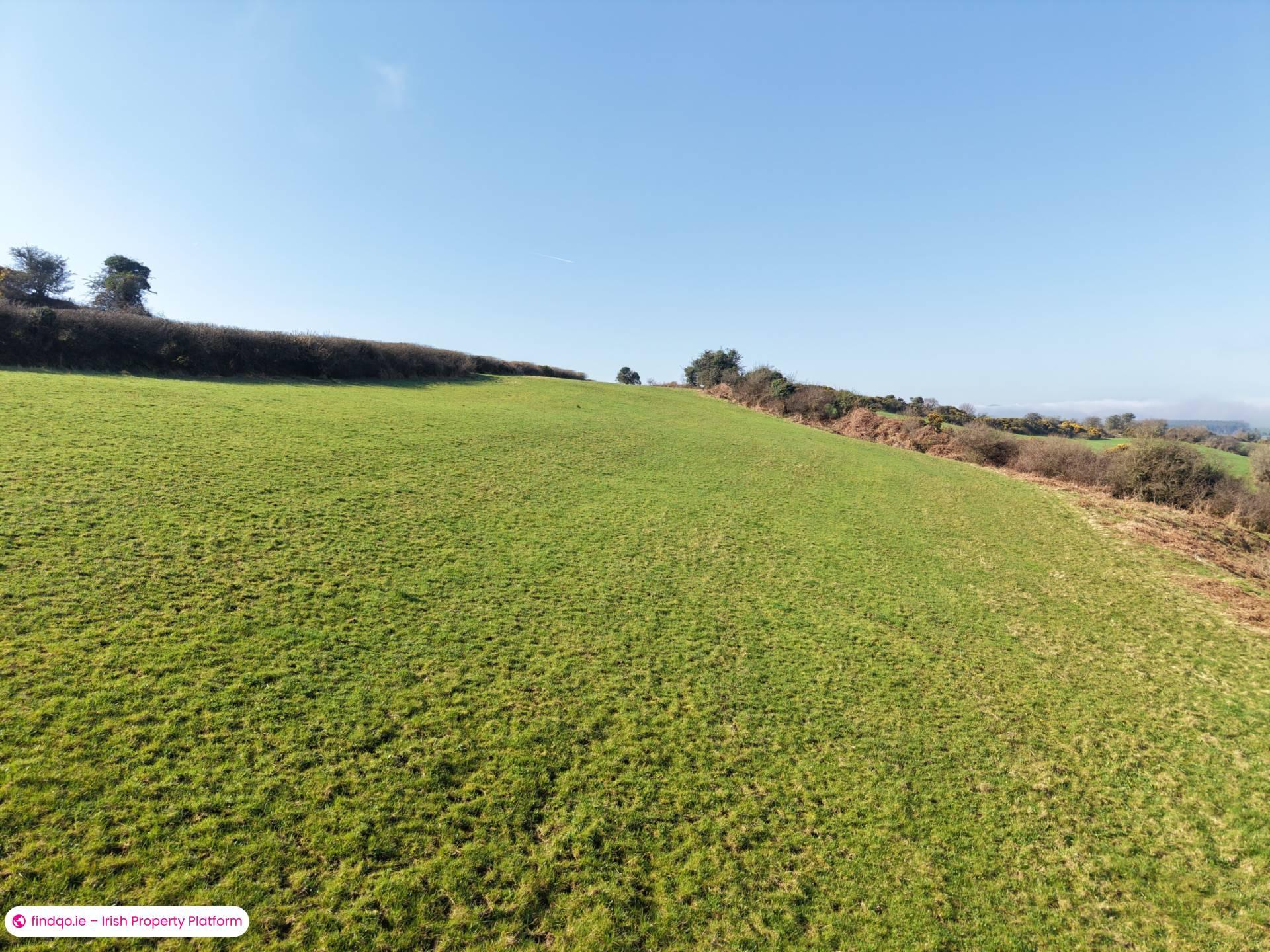 Agricultural Land for Sale in Ballymacarbry, Waterford
