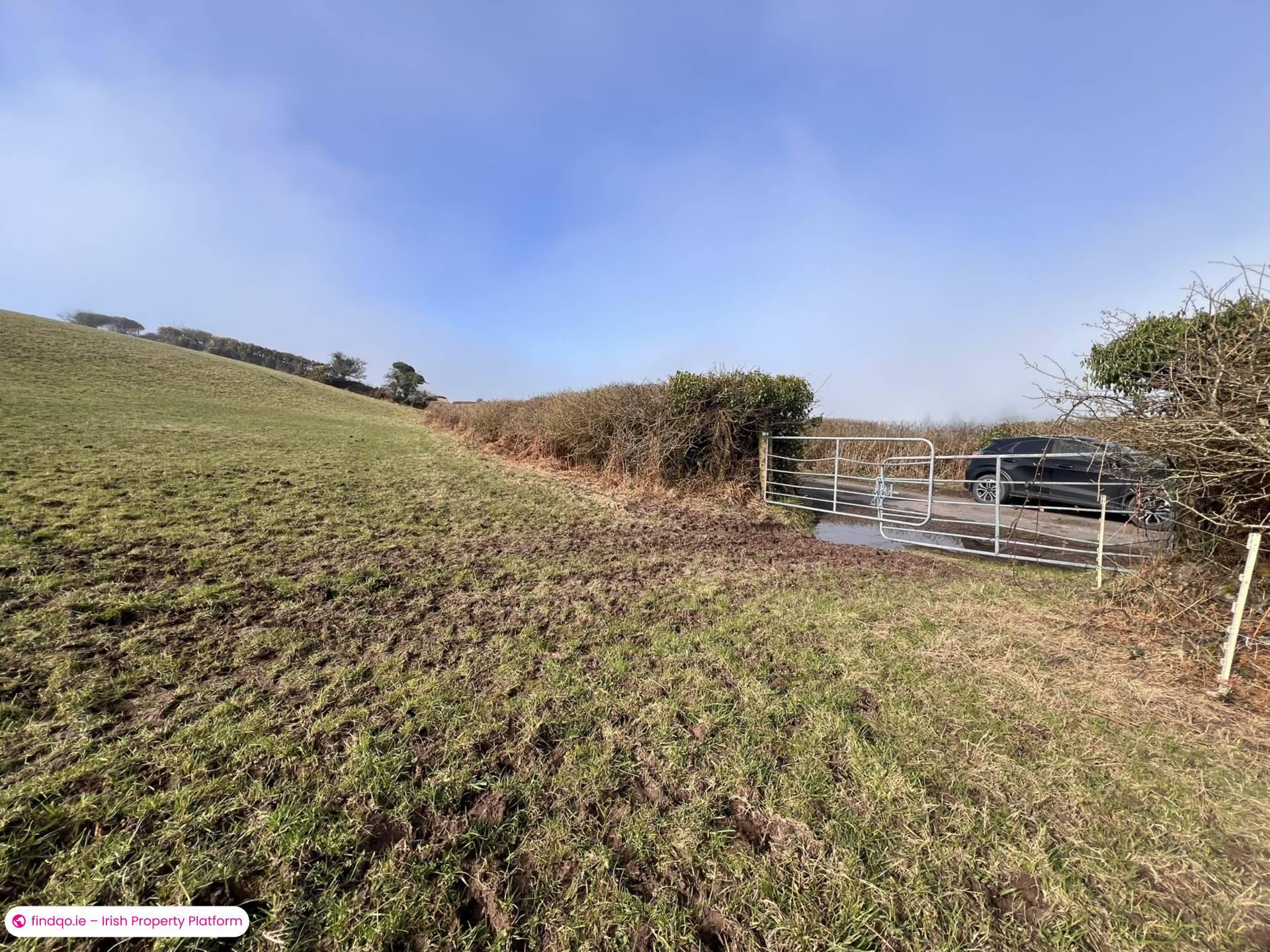 Agricultural Land for Sale in Ballymacarbry, Waterford