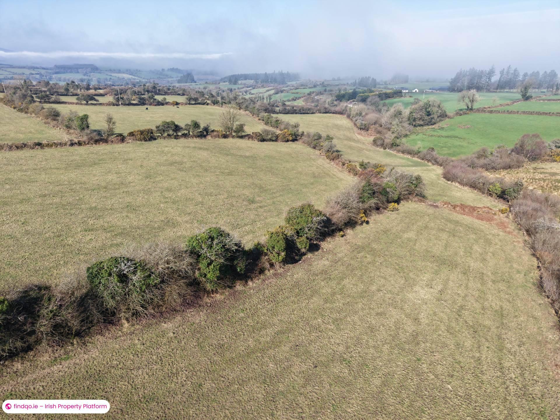Agricultural Land for Sale in Ballymacarbry, Waterford