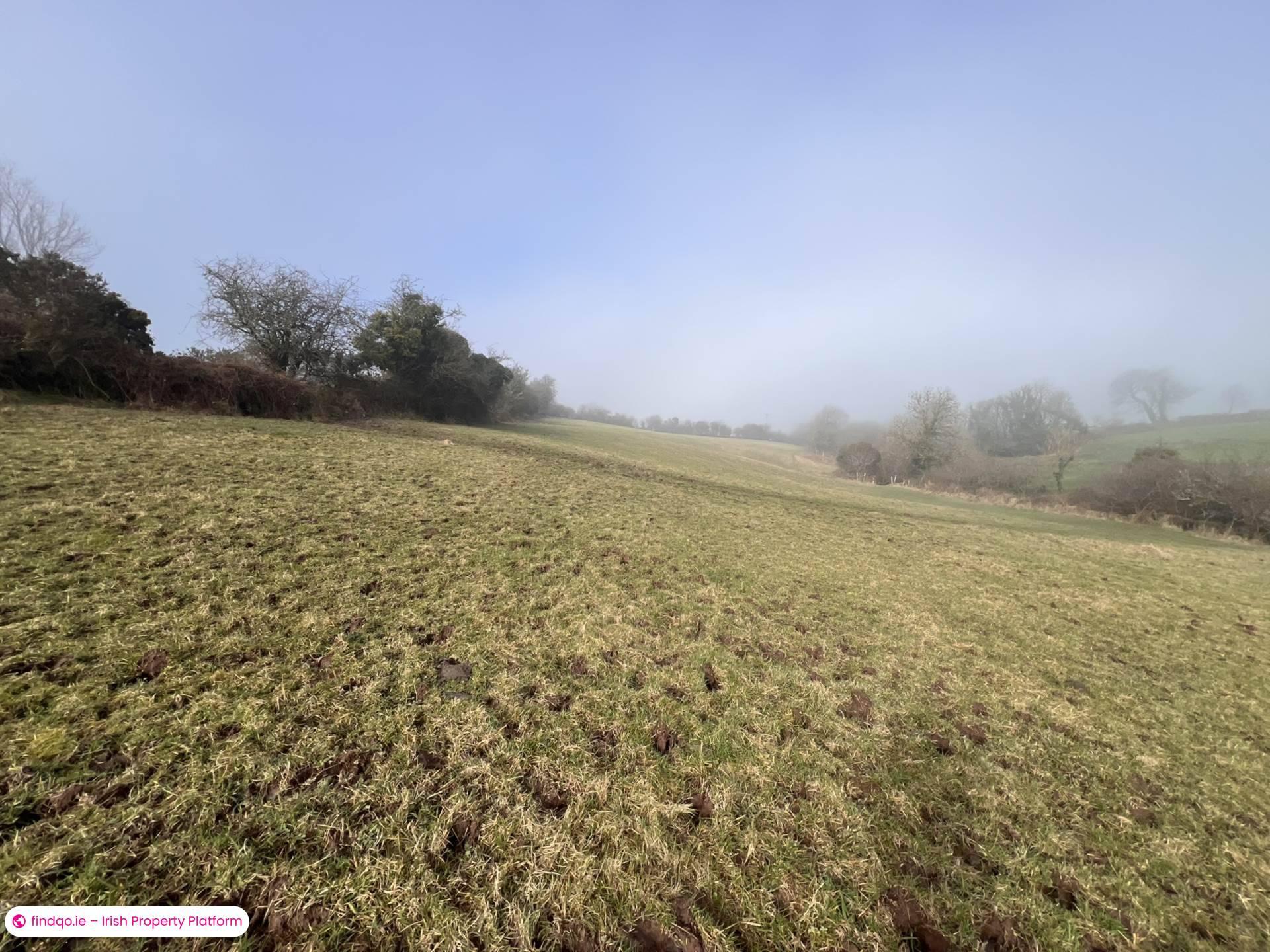 Agricultural Land for Sale in Ballymacarbry, Waterford