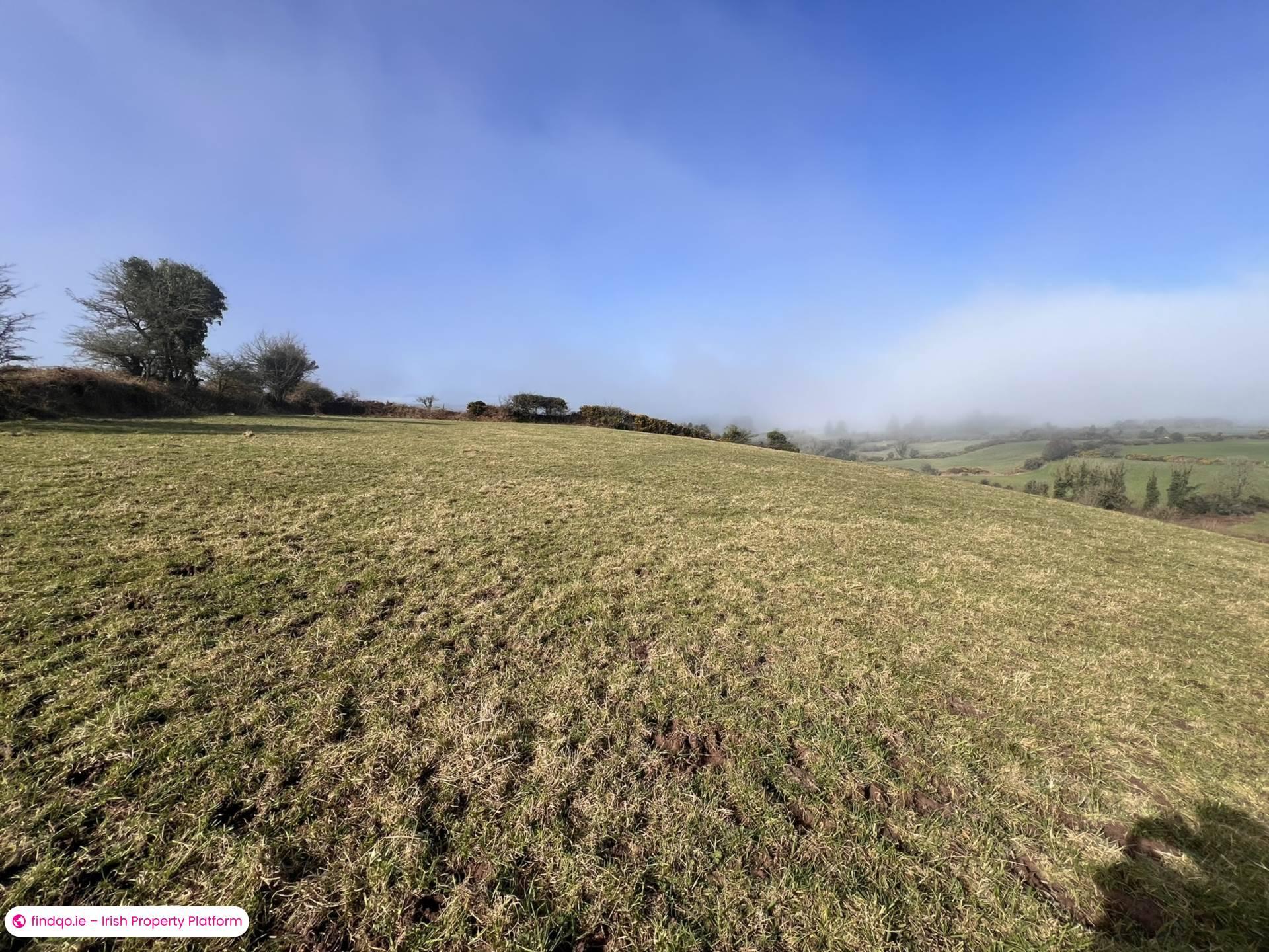 Agricultural Land for Sale in Ballymacarbry, Waterford
