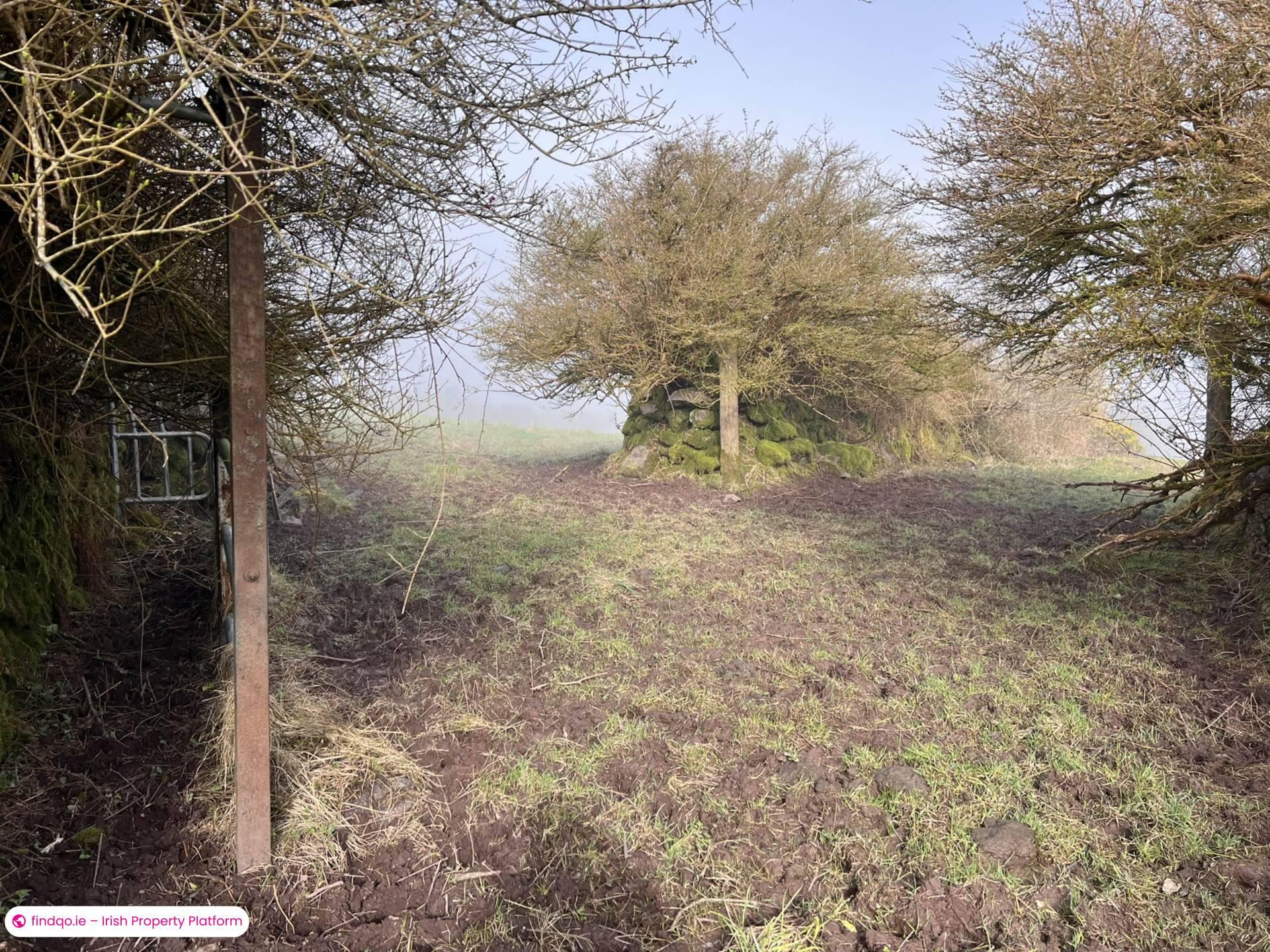 Agricultural Land for Sale in Ballymacarbry, Waterford