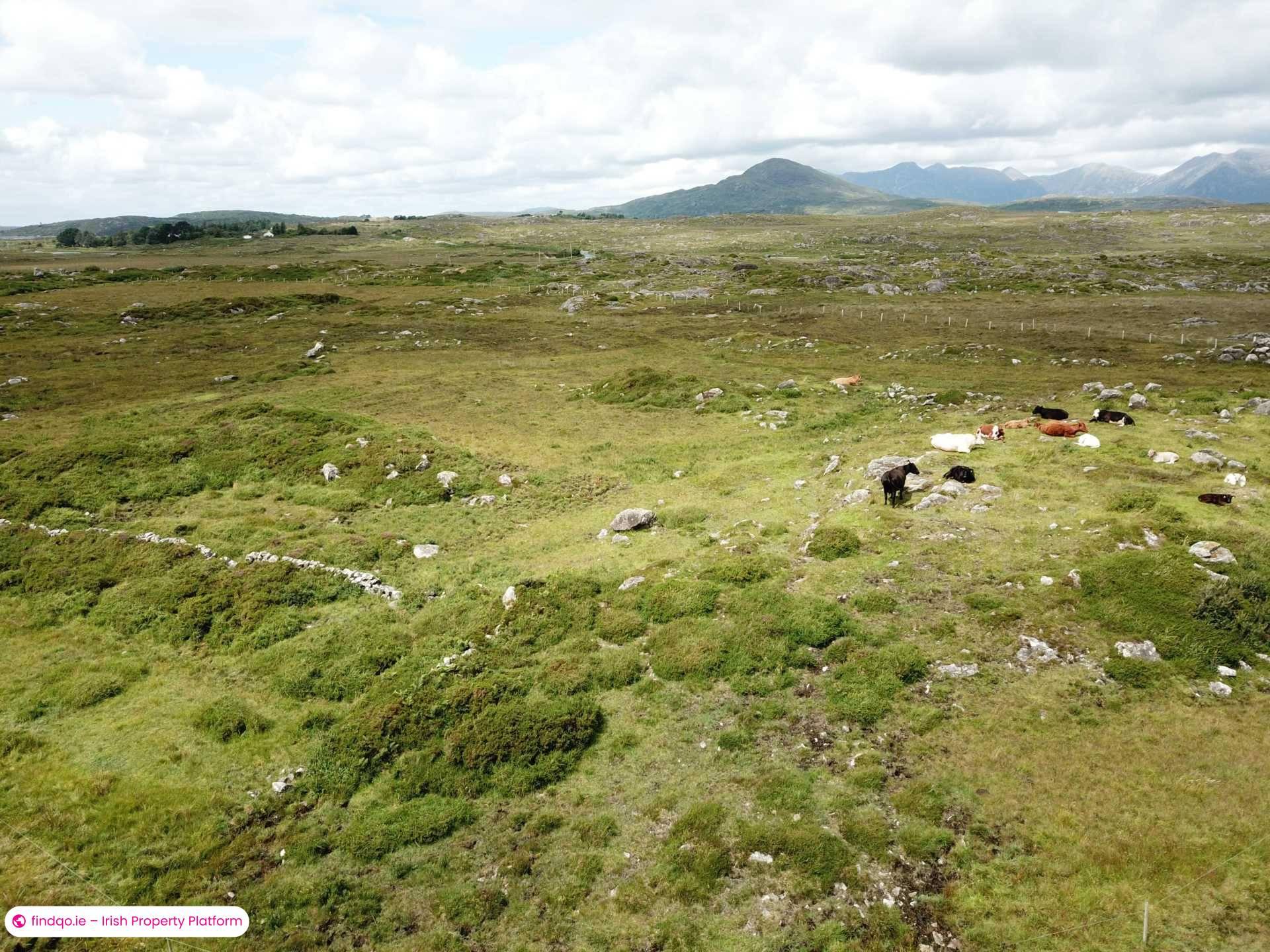 Agricultural Land for Sale in Cashel, Donegal