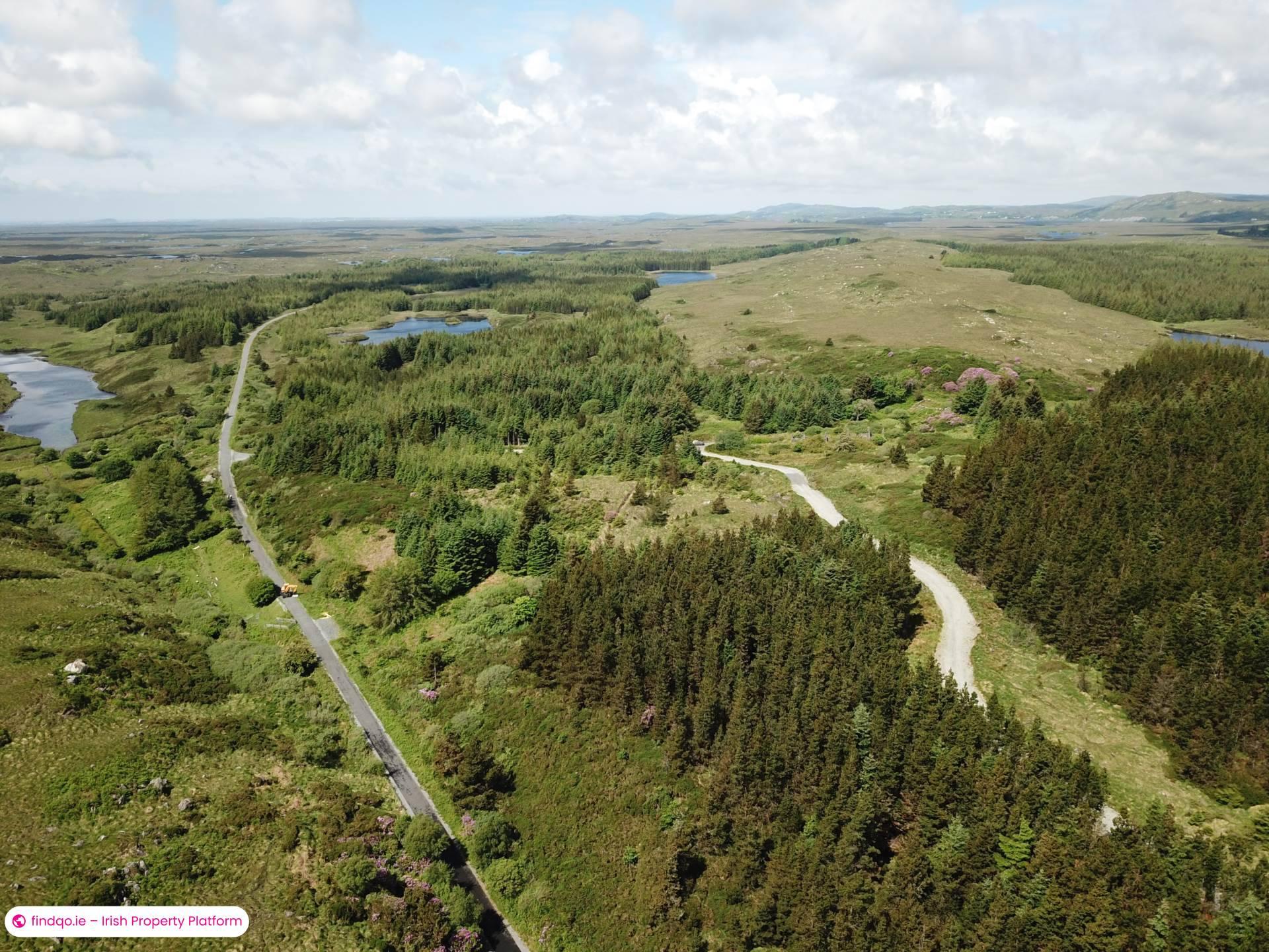 Agricultural Land for Sale in Ballynahinch, Down