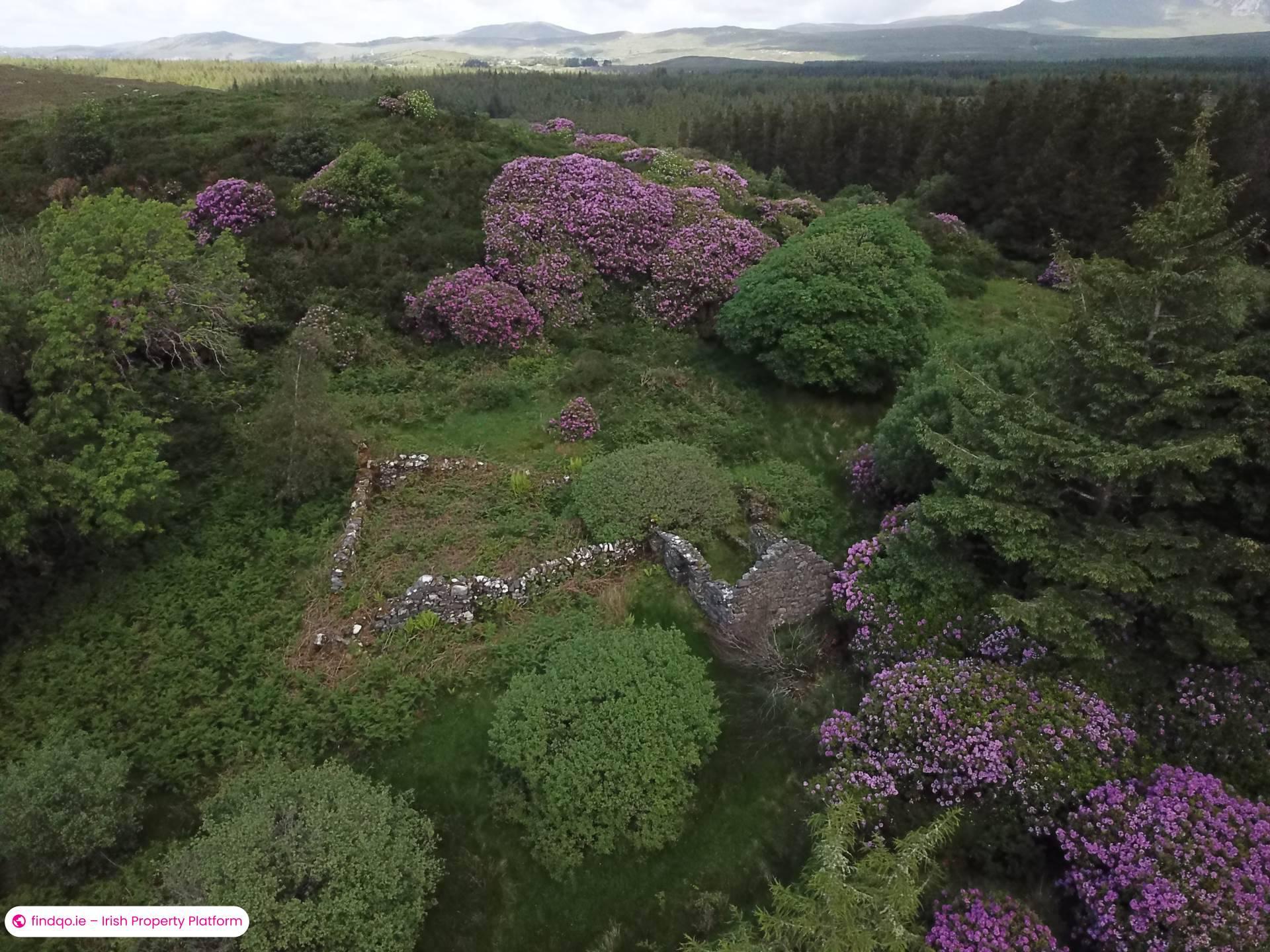 Agricultural Land for Sale in Ballynahinch, Down