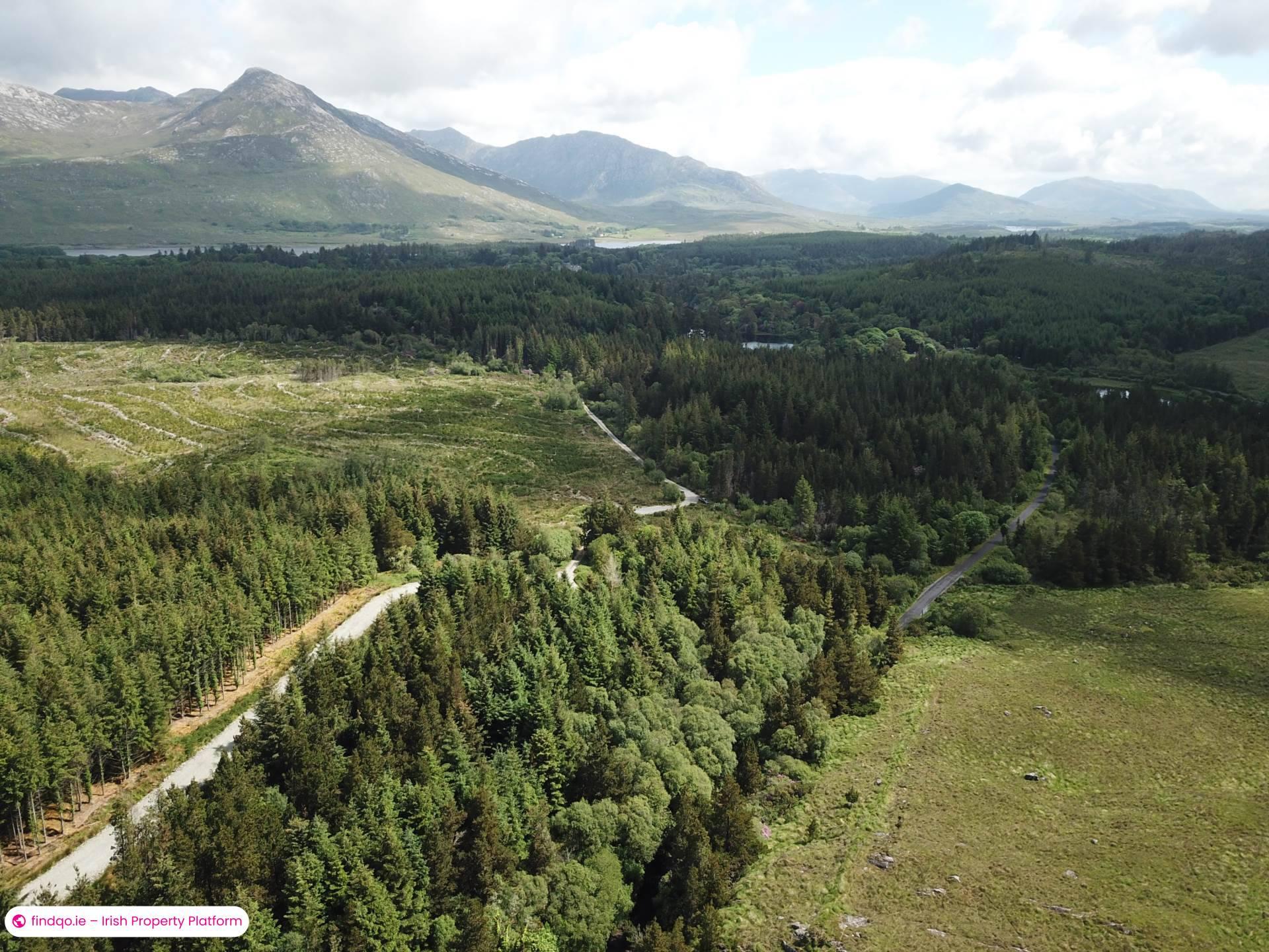 Agricultural Land for Sale in Ballynahinch, Down