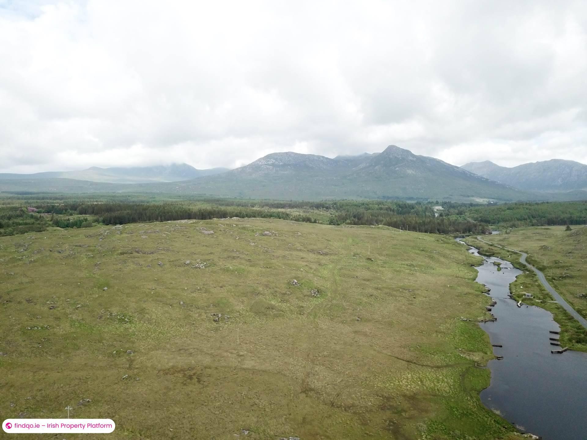 Agricultural Land for Sale in Ballynahinch, Down