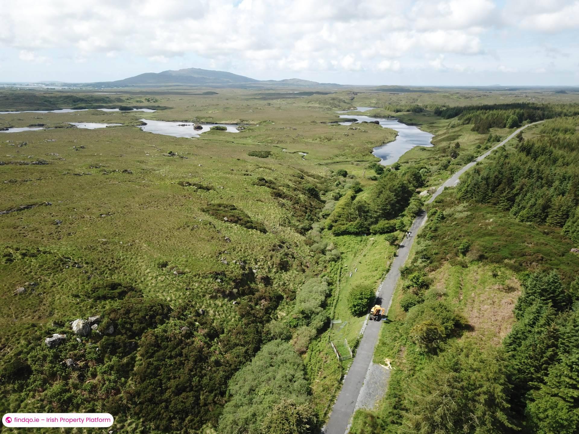 Agricultural Land for Sale in Ballynahinch, Down