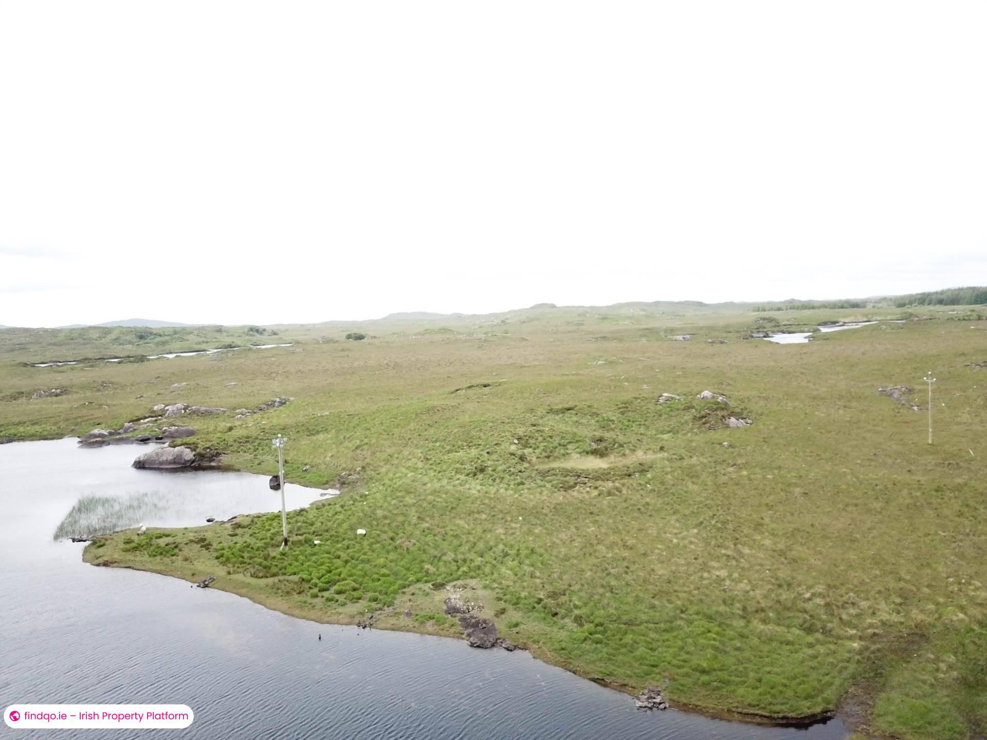 Agricultural Land for Sale in Ballynahinch, Down