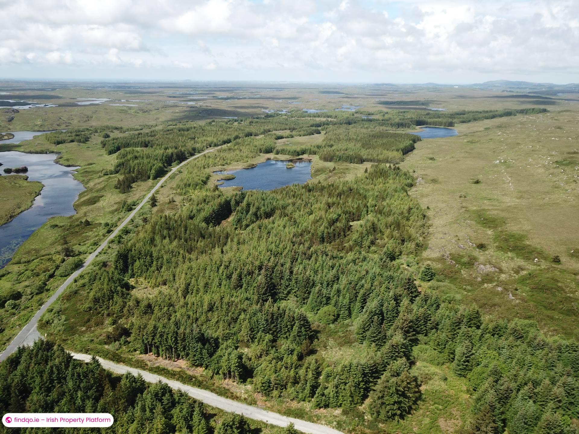 Agricultural Land for Sale in Ballynahinch, Down