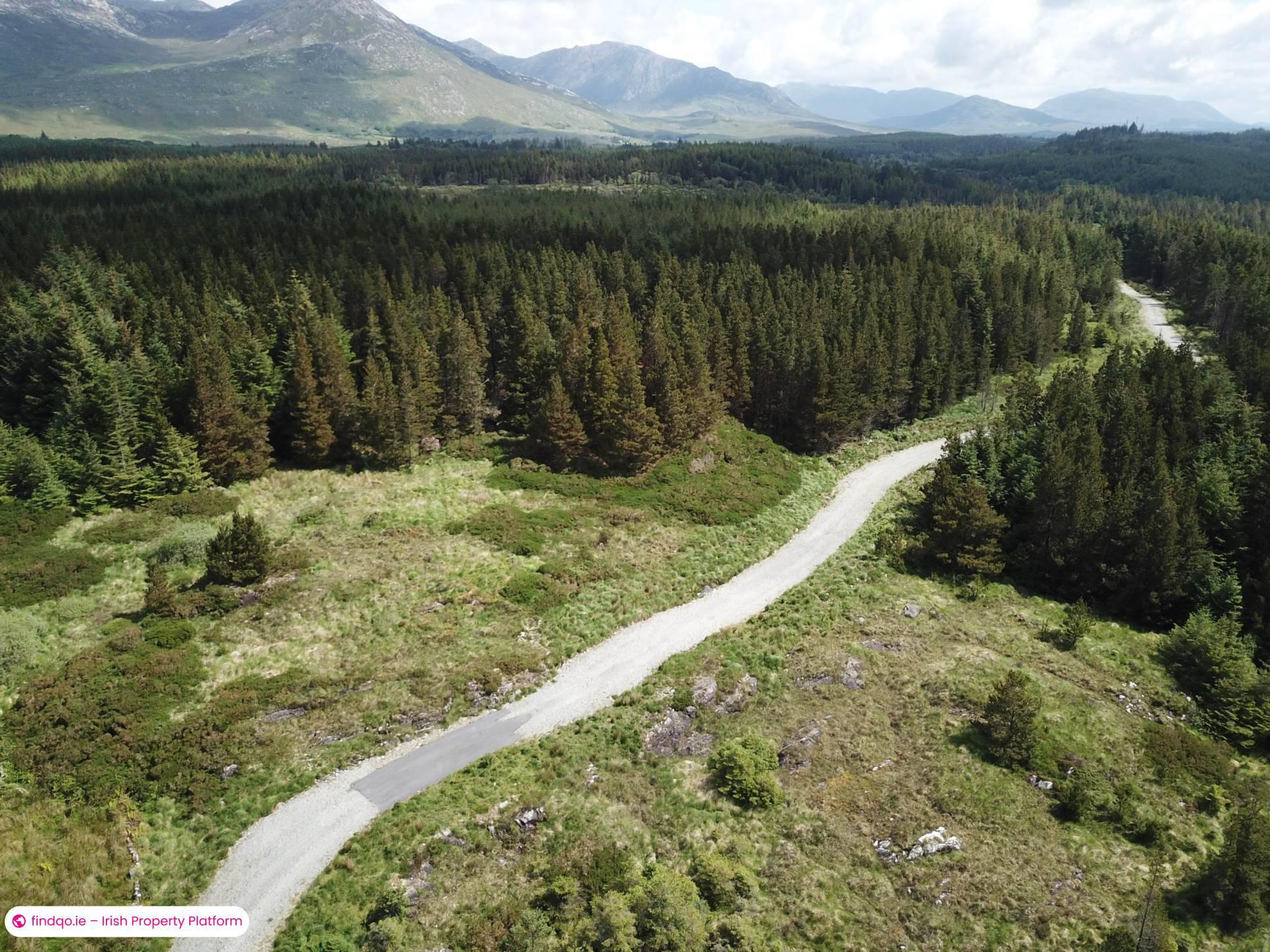 Agricultural Land for Sale in Ballynahinch, Down