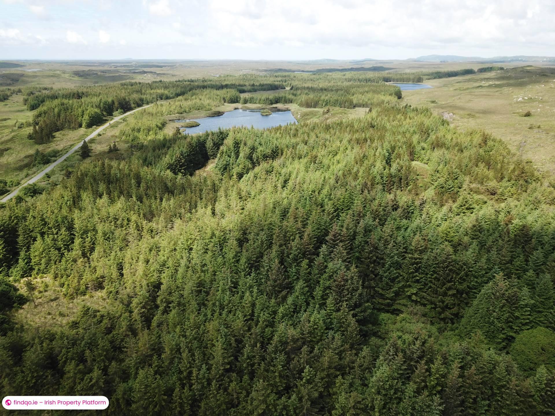 Agricultural Land for Sale in Ballynahinch, Down