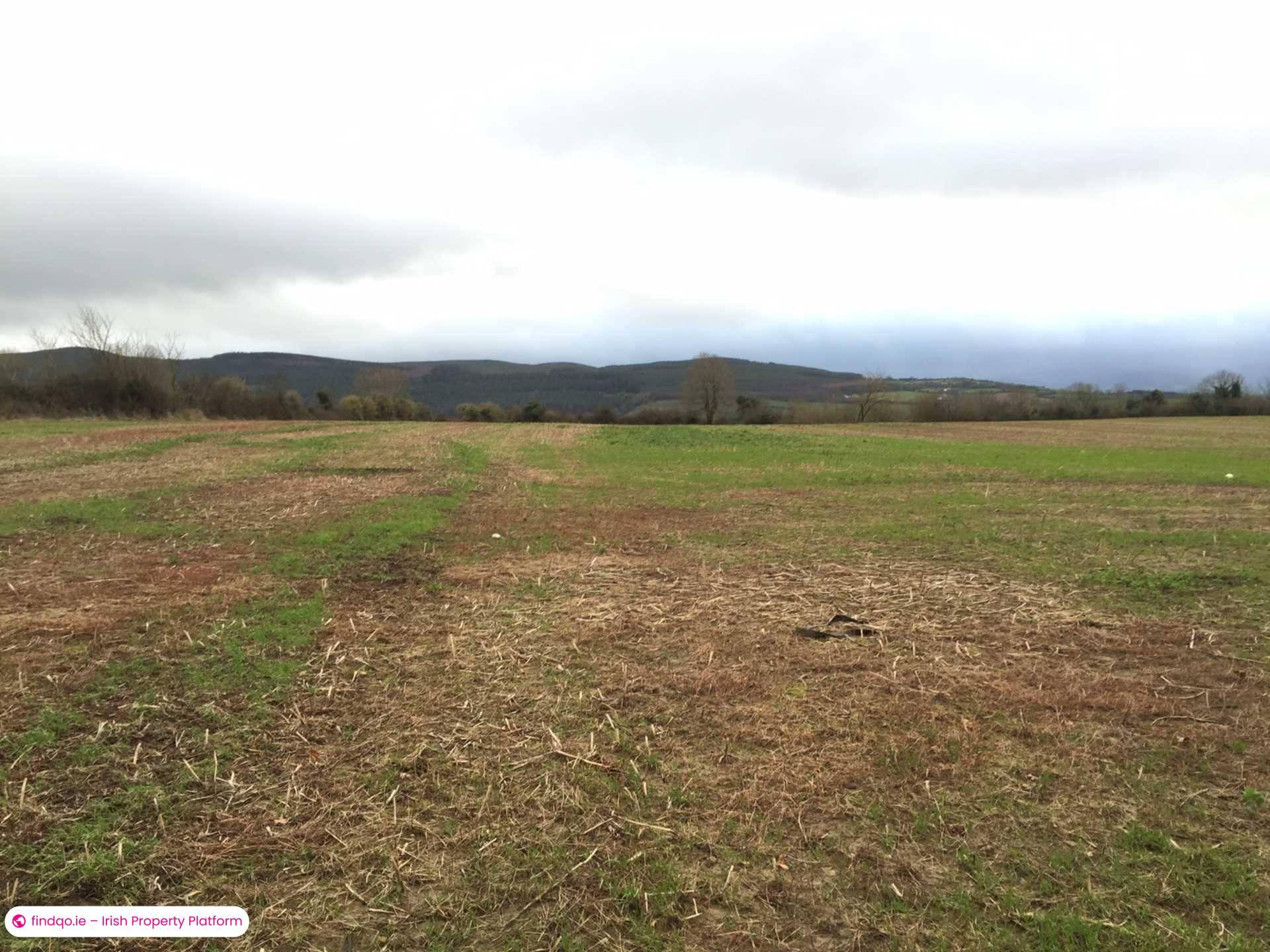 Commercial Site for Sale in Clonmel, Tipperary