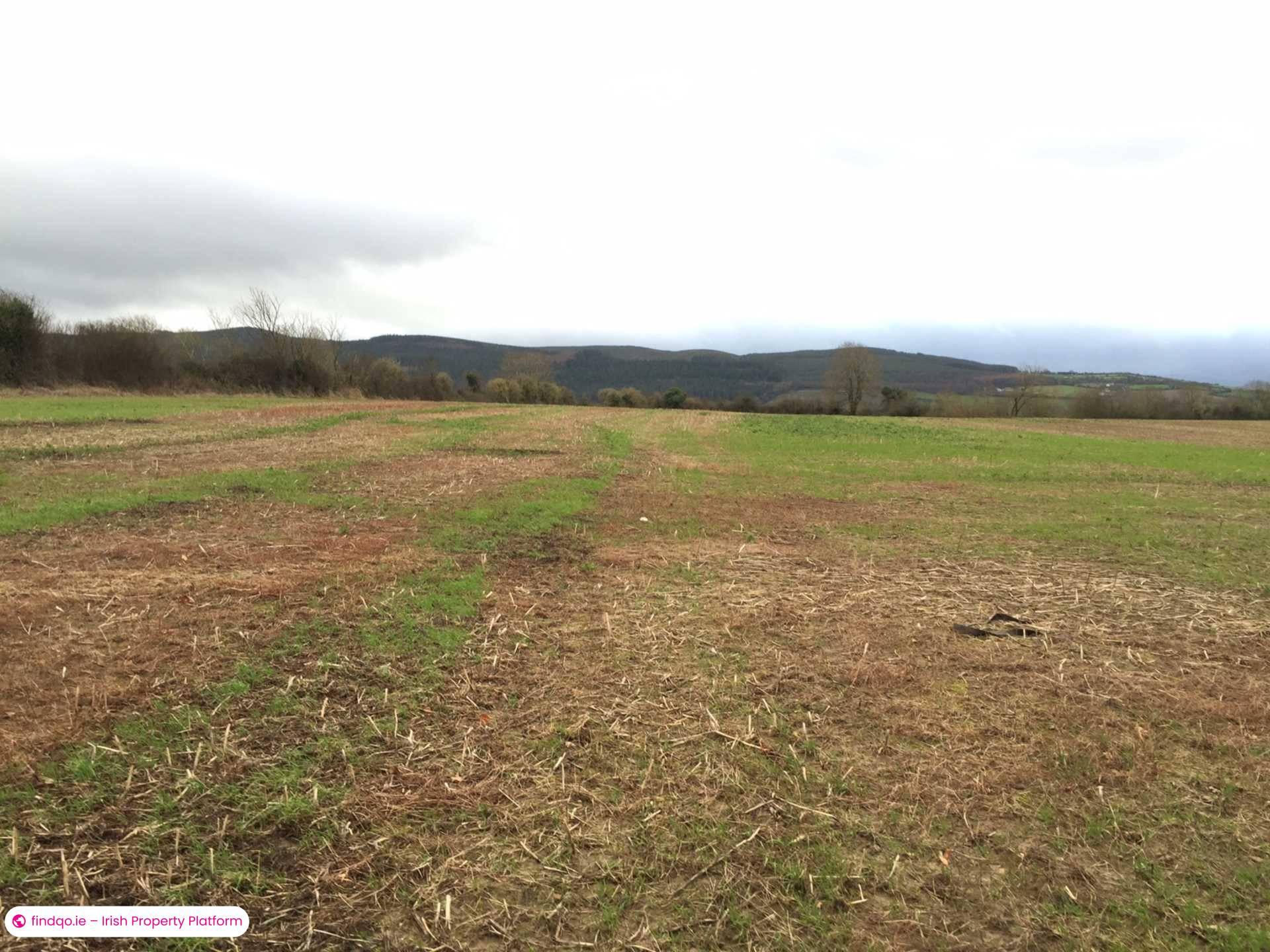 Commercial Site for Sale in Clonmel, Tipperary