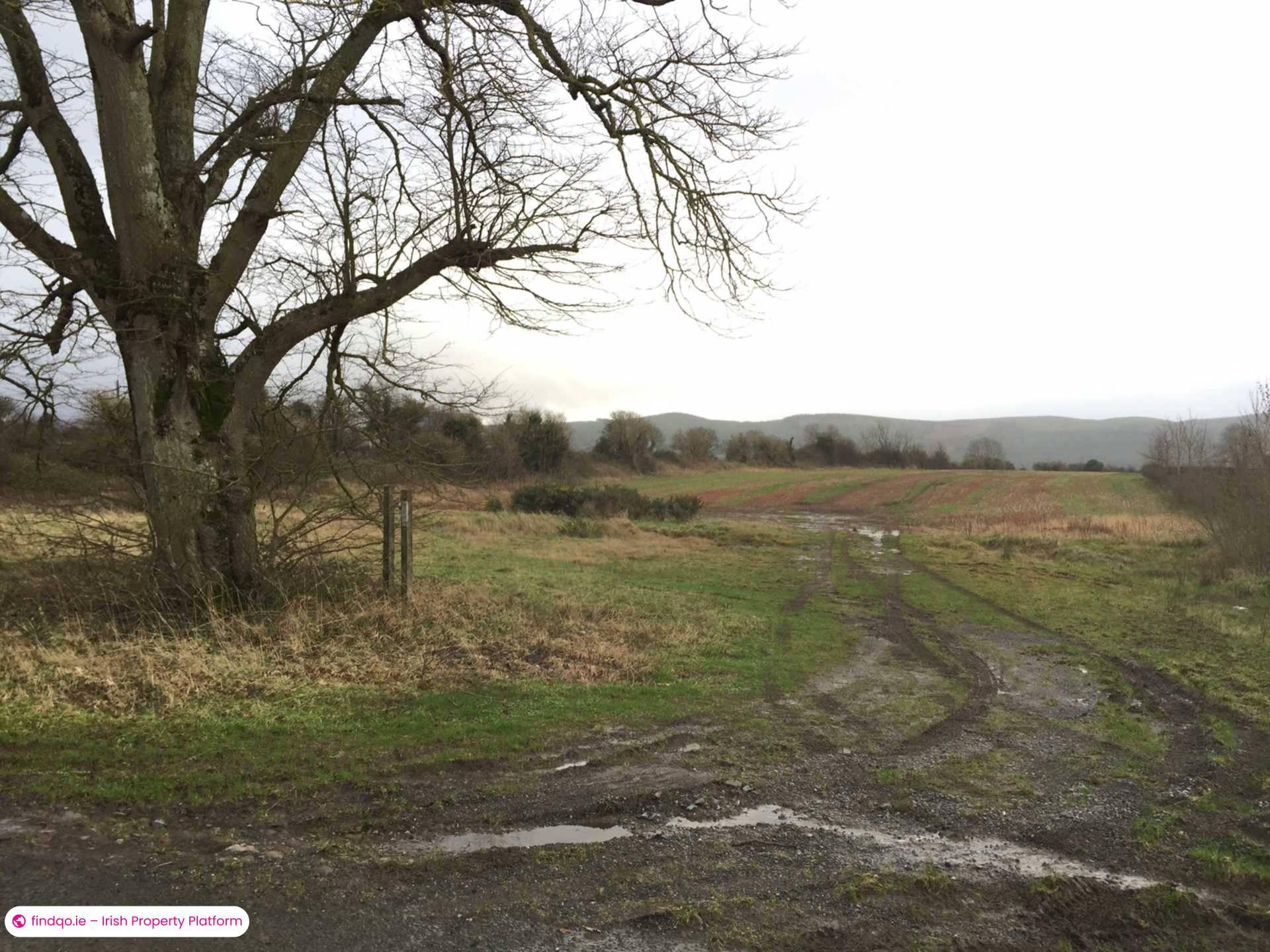 Commercial Site for Sale in Clonmel, Tipperary