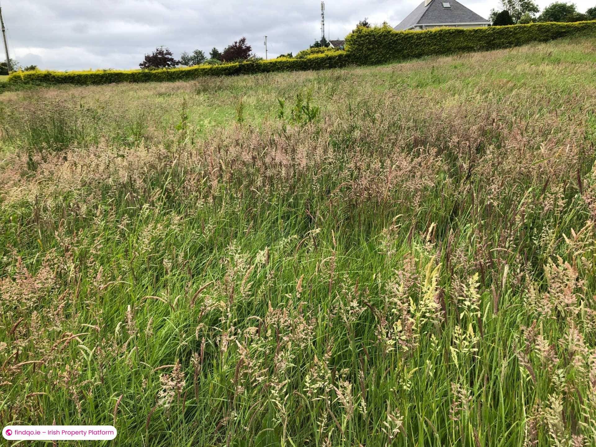 Site for Sale in Killenaule, Tipperary