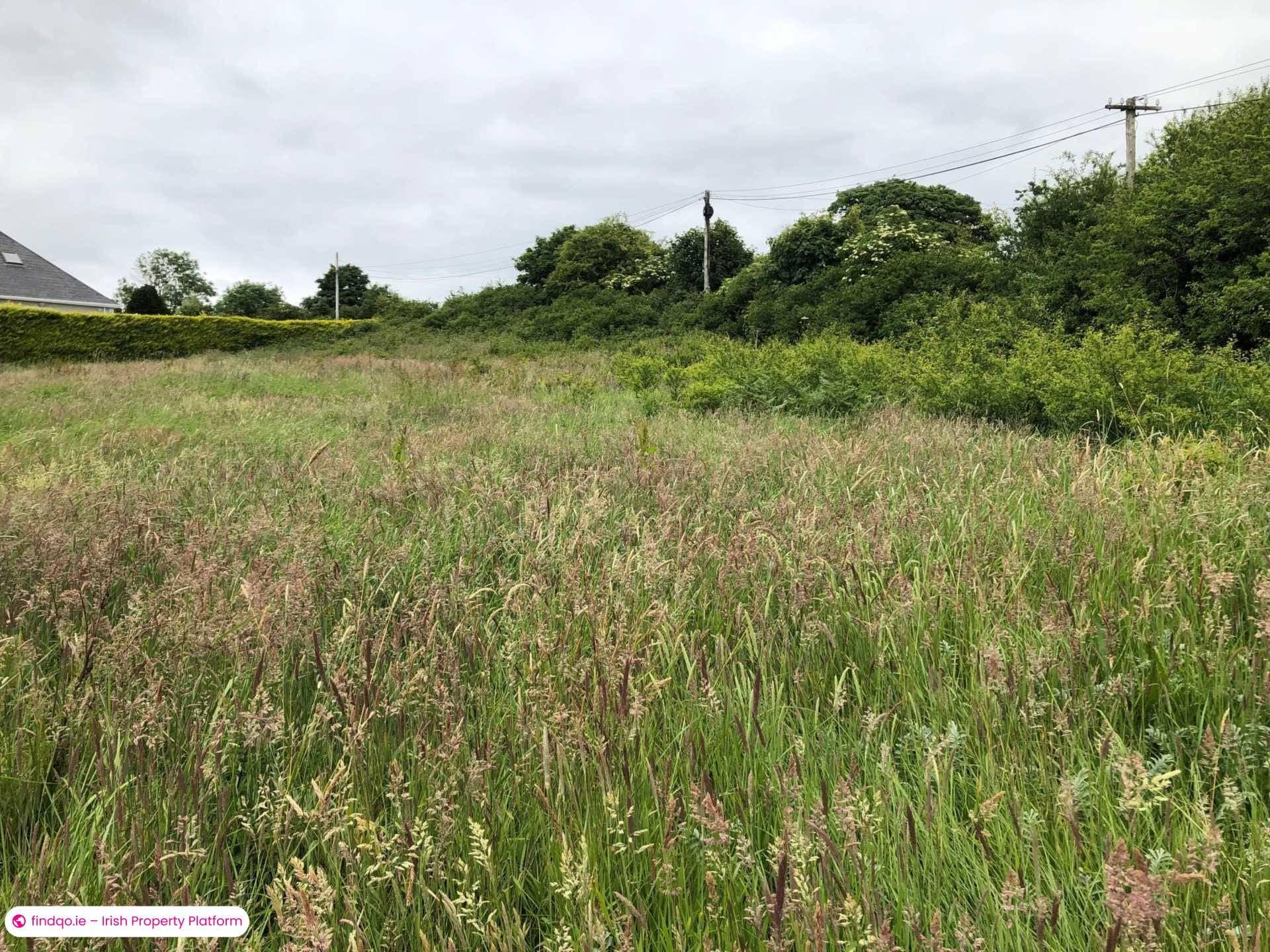 Site for Sale in Killenaule, Tipperary
