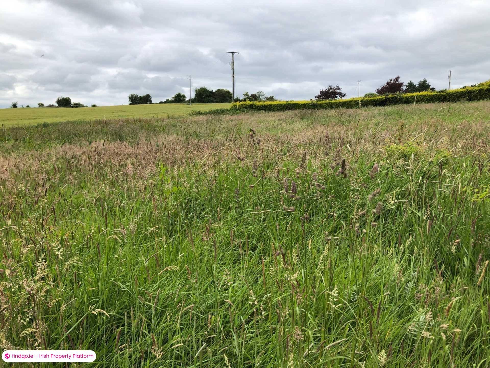 Site for Sale in Killenaule, Tipperary