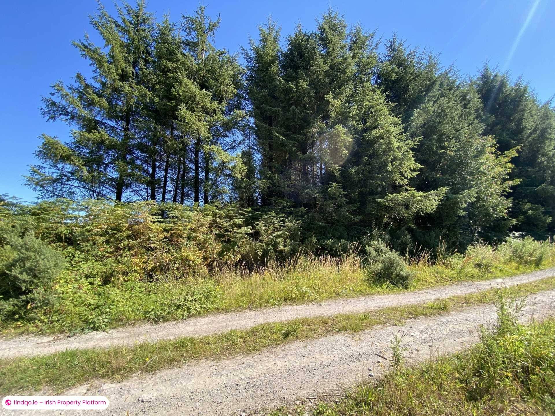 Site for Sale in Newcastle, Down