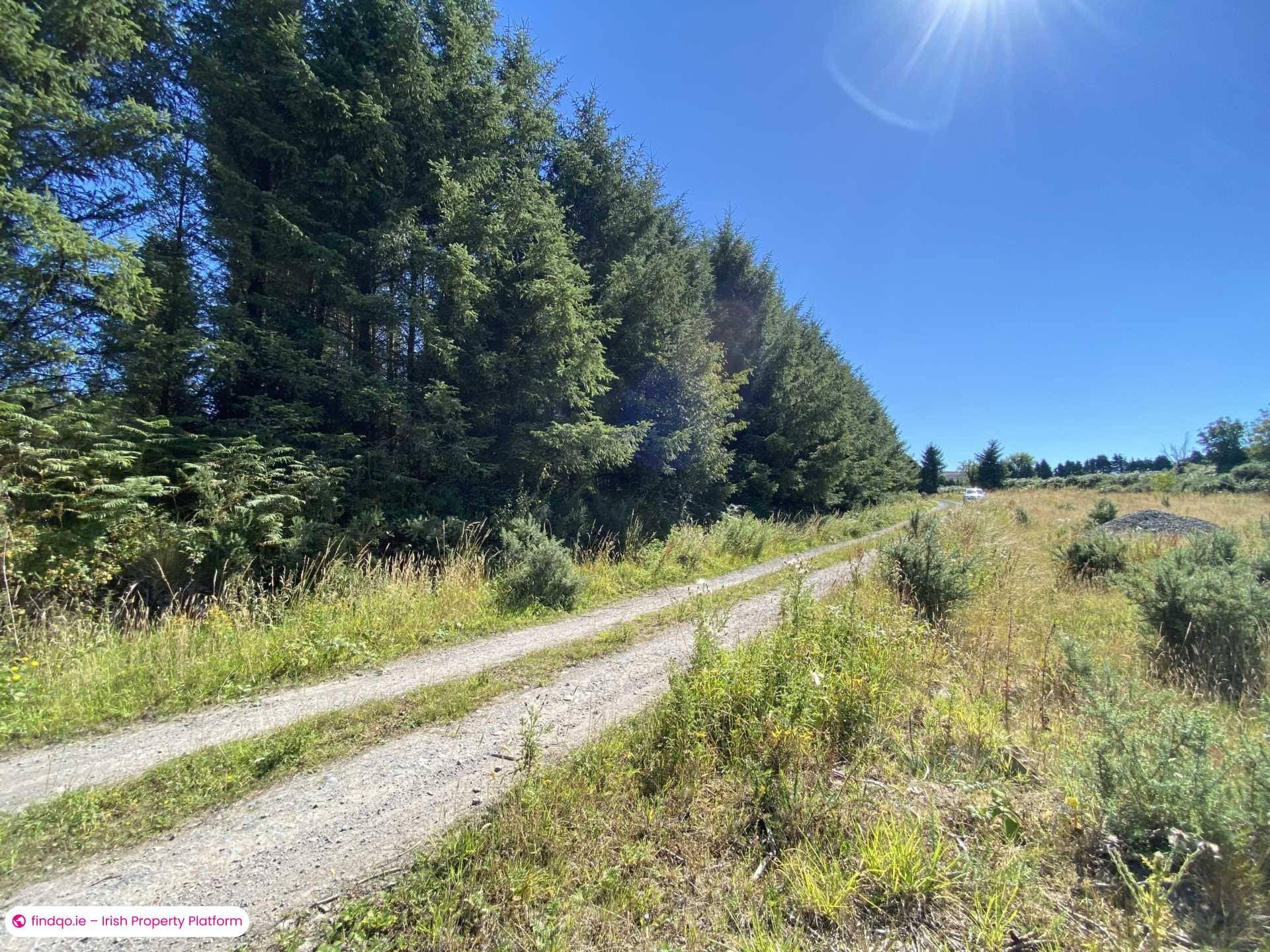 Site for Sale in Newcastle, Down